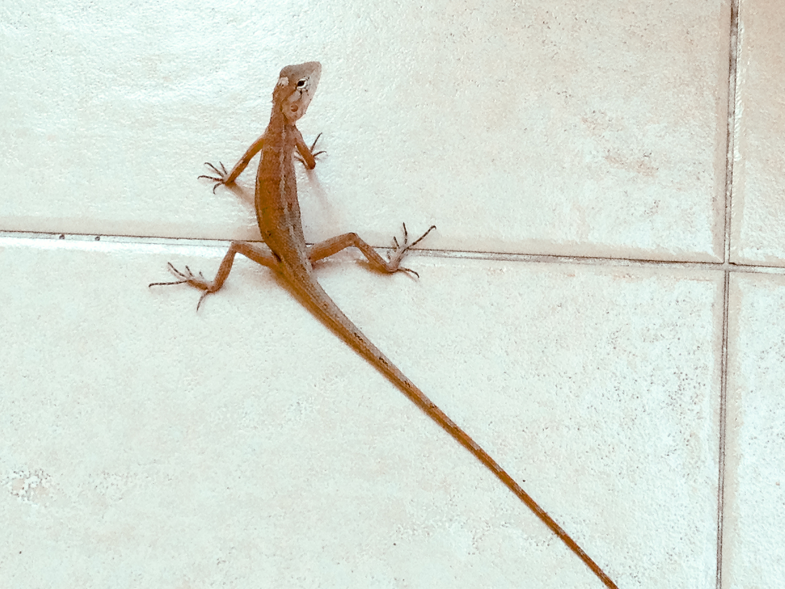 Тайланд. Паттая. Фотограф в Хабаровске. Фотография за 24 часа