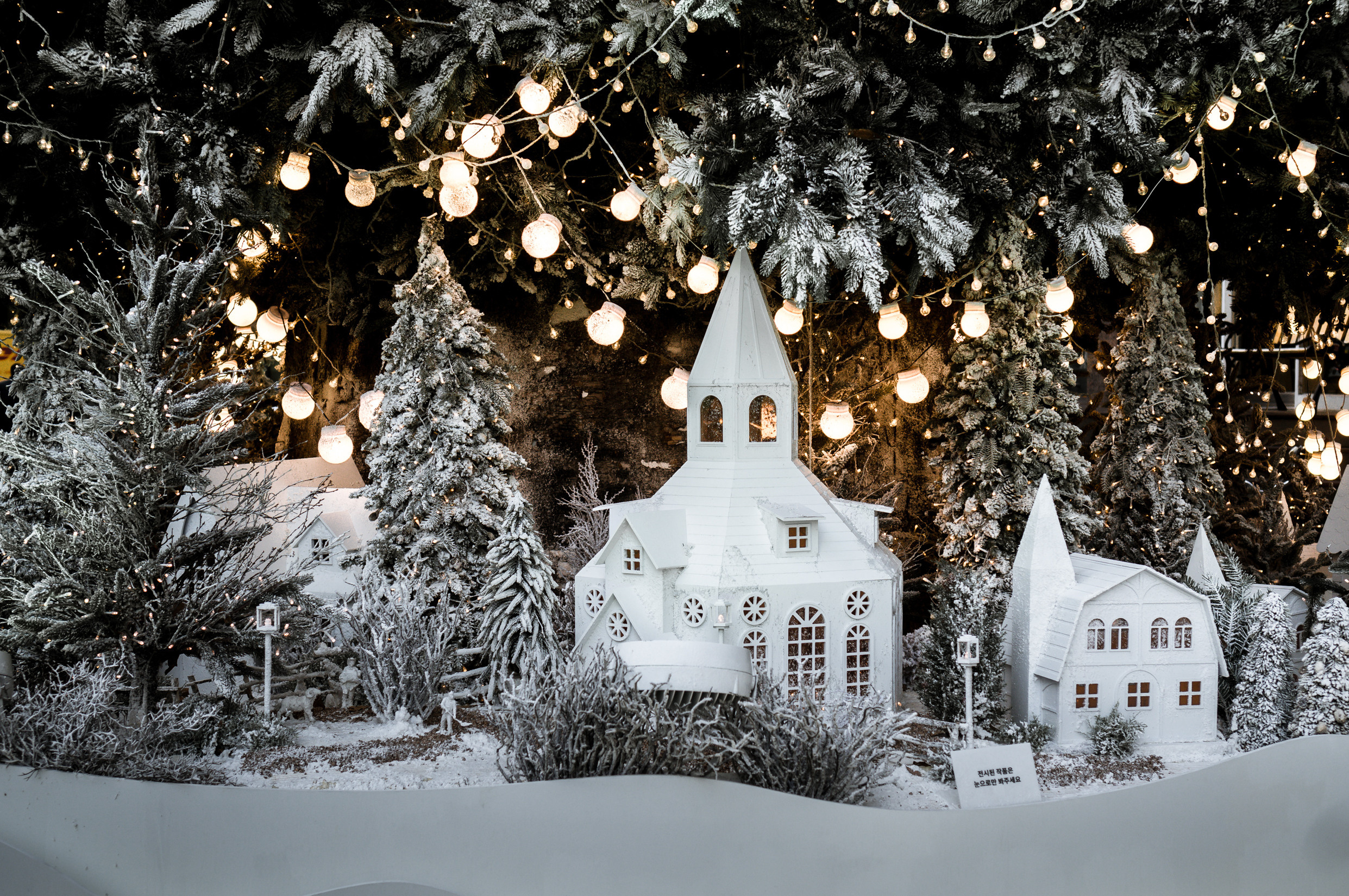 Корея ноябрь 2017. Фотограф в Хабаровске. Фотография за 24 часа