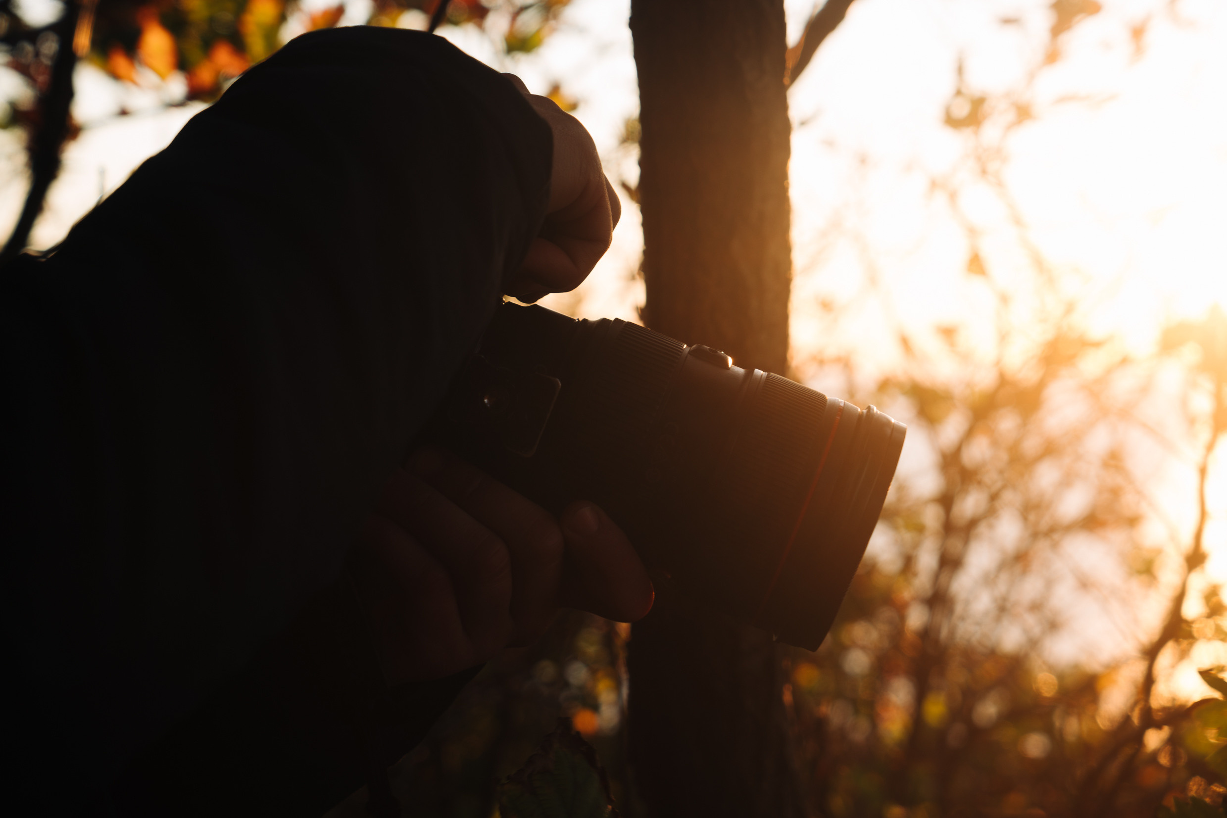 Россия. Приморский край. Фотограф в Хабаровске. Фотография за 24 часа