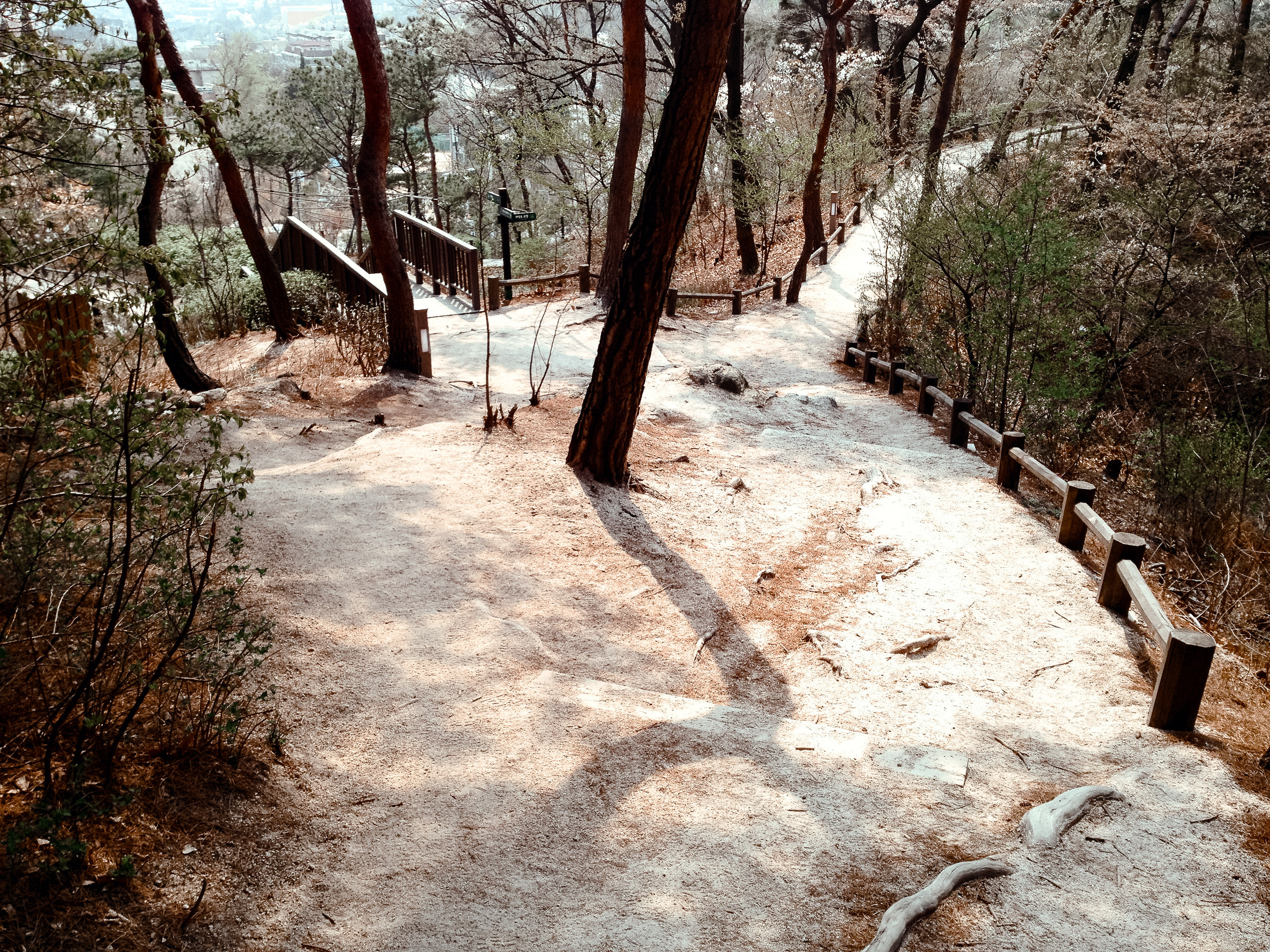 Корея 2014. Фотограф в Хабаровске. Фотография за 24 часа