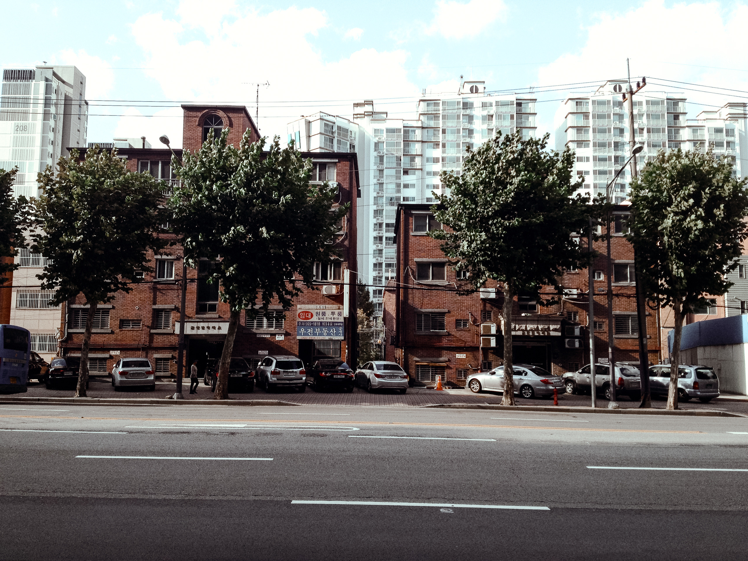 Корея 2013. Фотограф в Хабаровске. Фотография за 24 часа