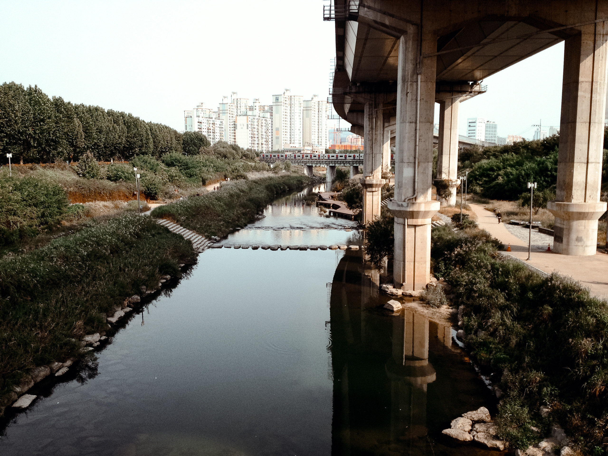 Корея 2013. Фотограф в Хабаровске. Фотография за 24 часа