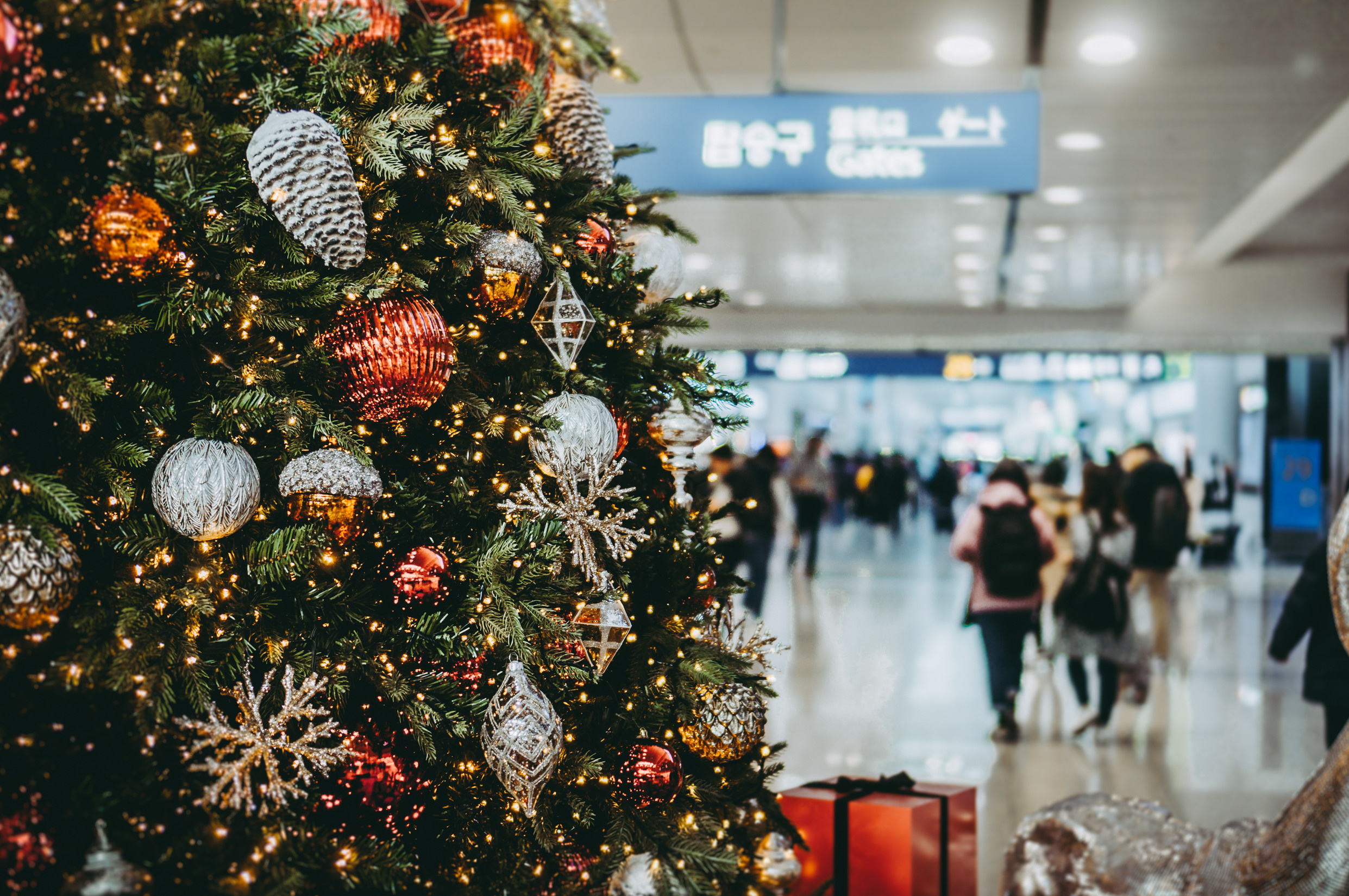 Корея ноябрь 2017. Фотограф в Хабаровске. Фотография за 24 часа