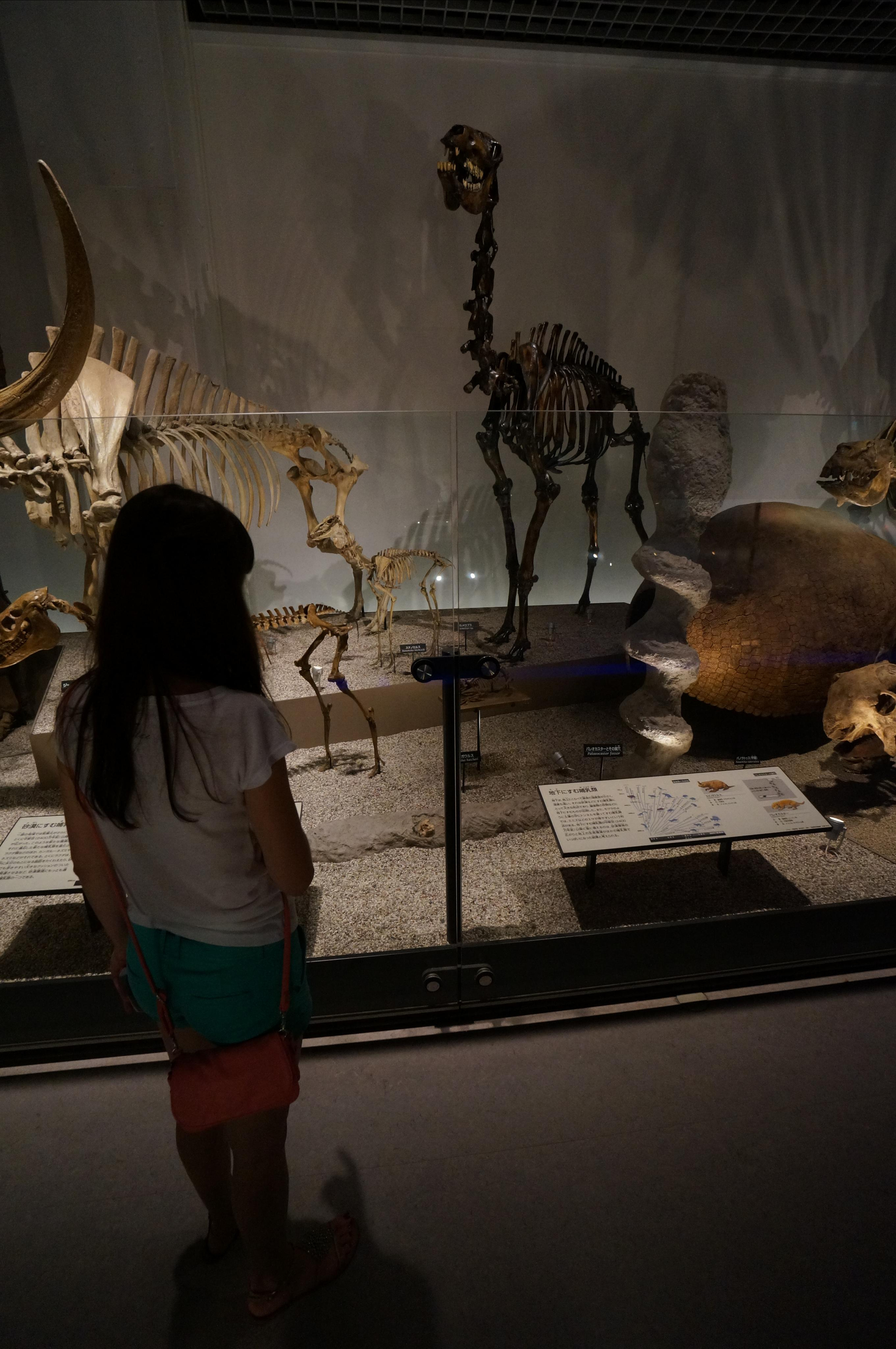 Япония. Токио, Киото. Фотограф в Хабаровске. Фотография за 24 часа