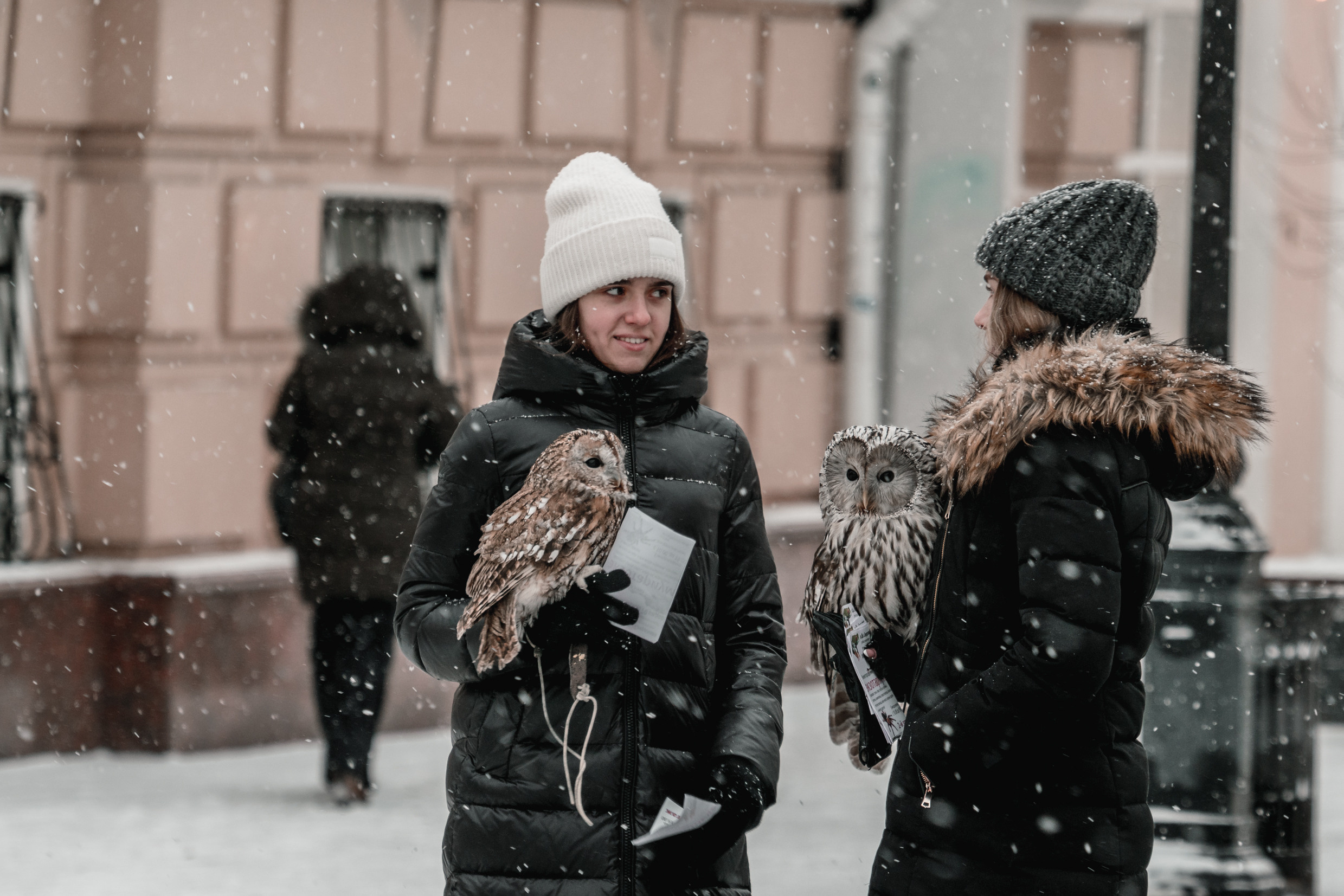 Россия: Москва, Самара, Казань, Нижний Новогород, Санкт-Петербург. Фотограф в Хабаровске. Фотография за 24 часа