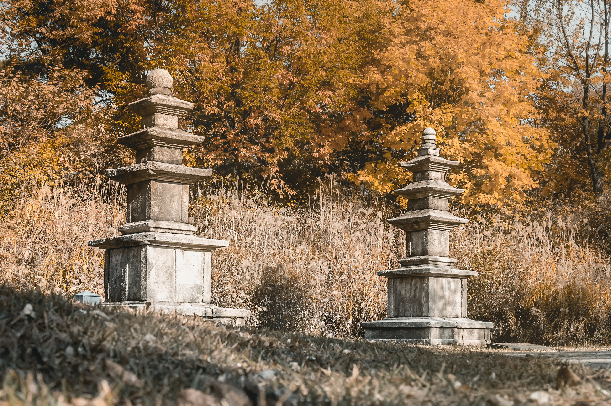 Корея ноябрь 2016. Фотограф в Хабаровске. Фотография за 24 часа