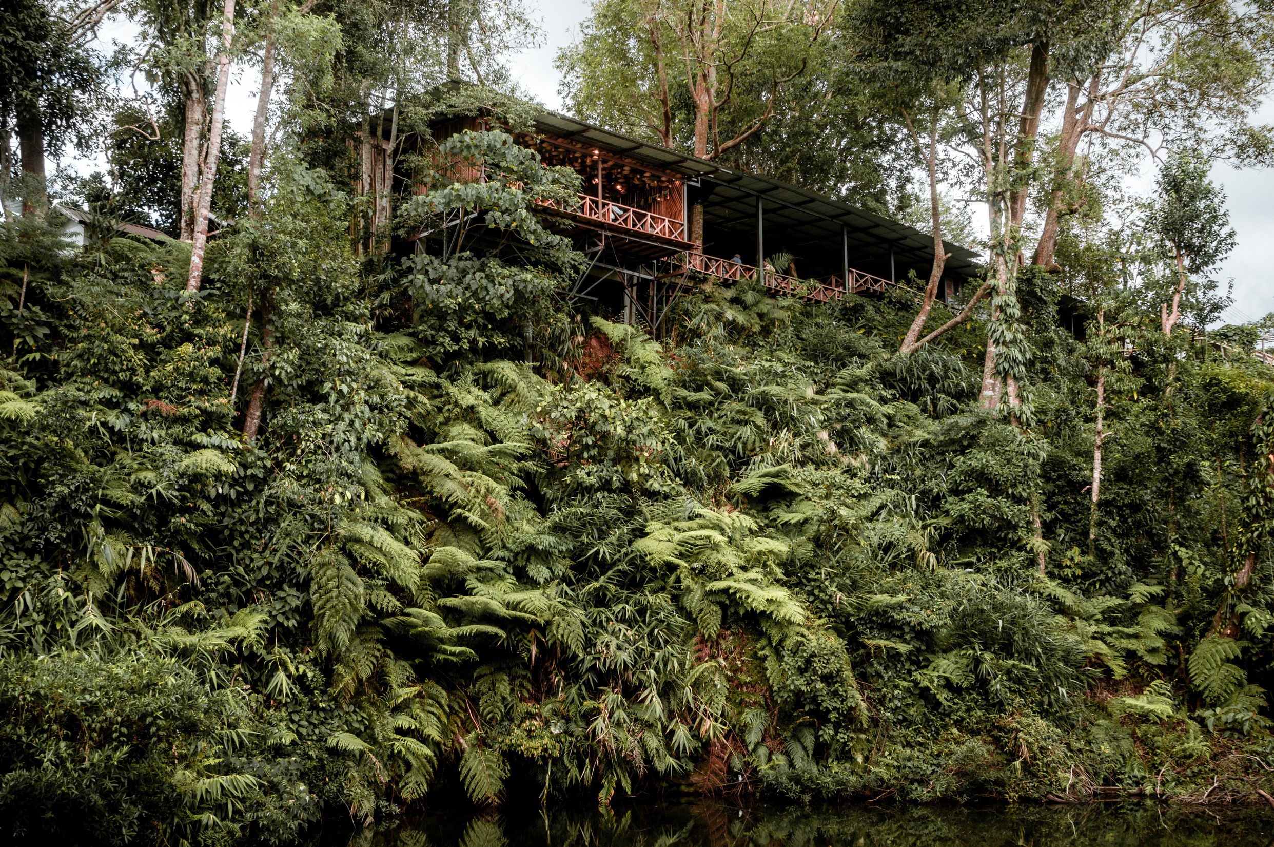 ЮВА: Южная Корея, Вьетнам, Камбоджа, Лаос. Фотограф в Хабаровске. Фотография за 24 часа