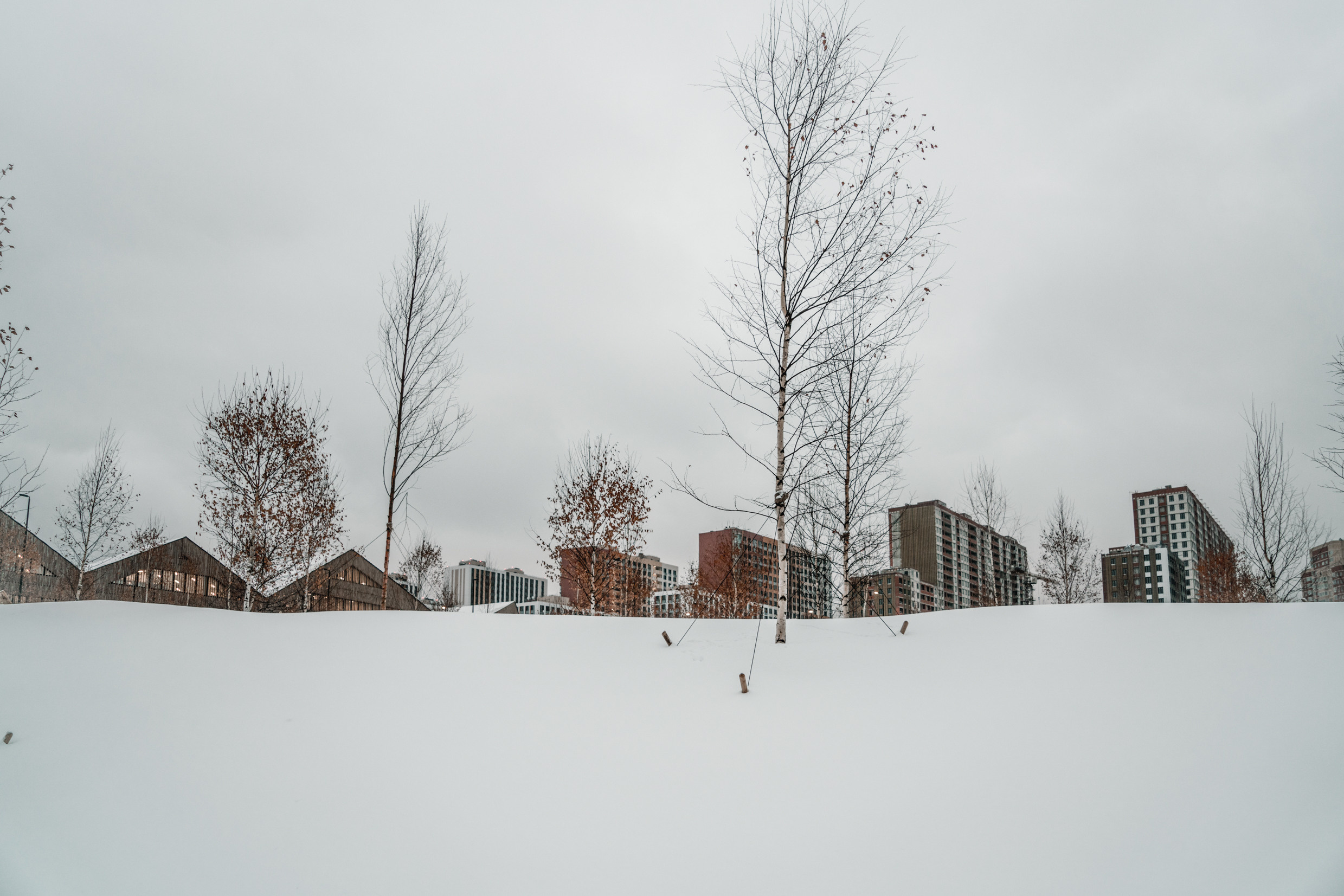 Россия: Москва, Самара, Казань, Нижний Новогород, Санкт-Петербург. Фотограф в Хабаровске. Фотография за 24 часа