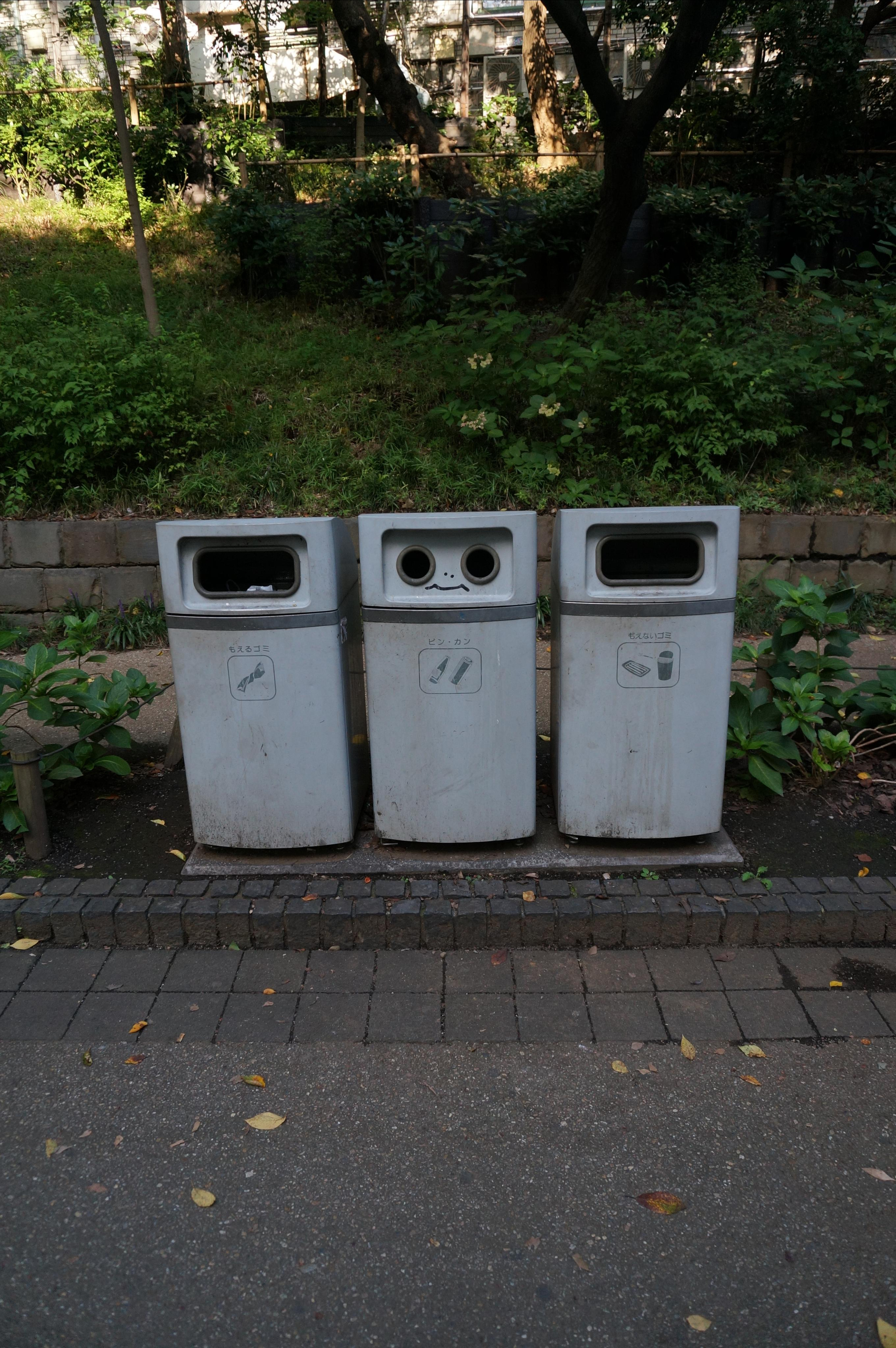 Япония. Токио, Киото. Фотограф в Хабаровске. Фотография за 24 часа