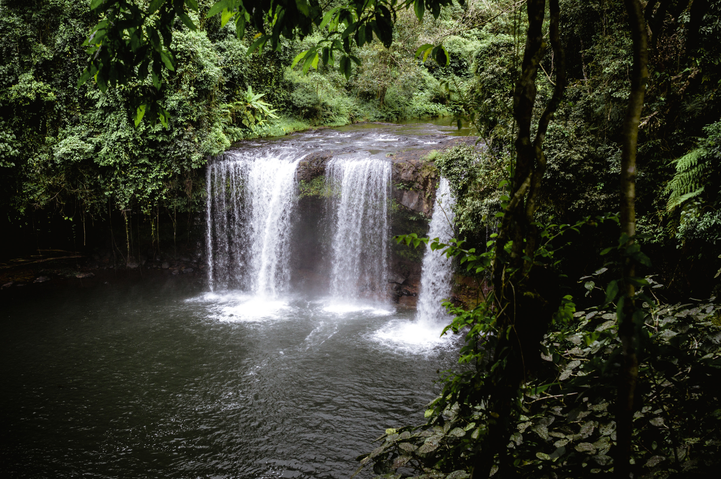 ЮВА: Южная Корея, Вьетнам, Камбоджа, Лаос. Фотограф в Хабаровске. Фотография за 24 часа