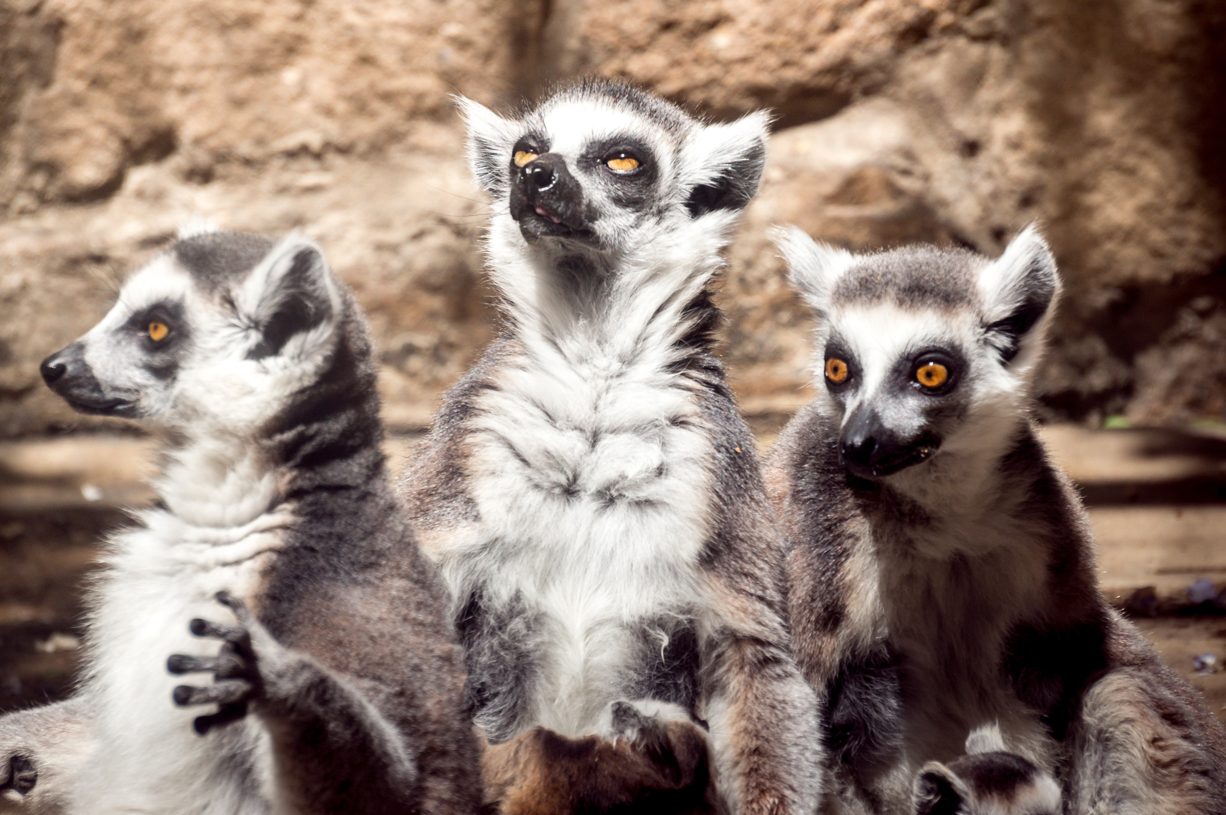 Китай. Пекин. Фотограф в Хабаровске. Фотография за 24 часа