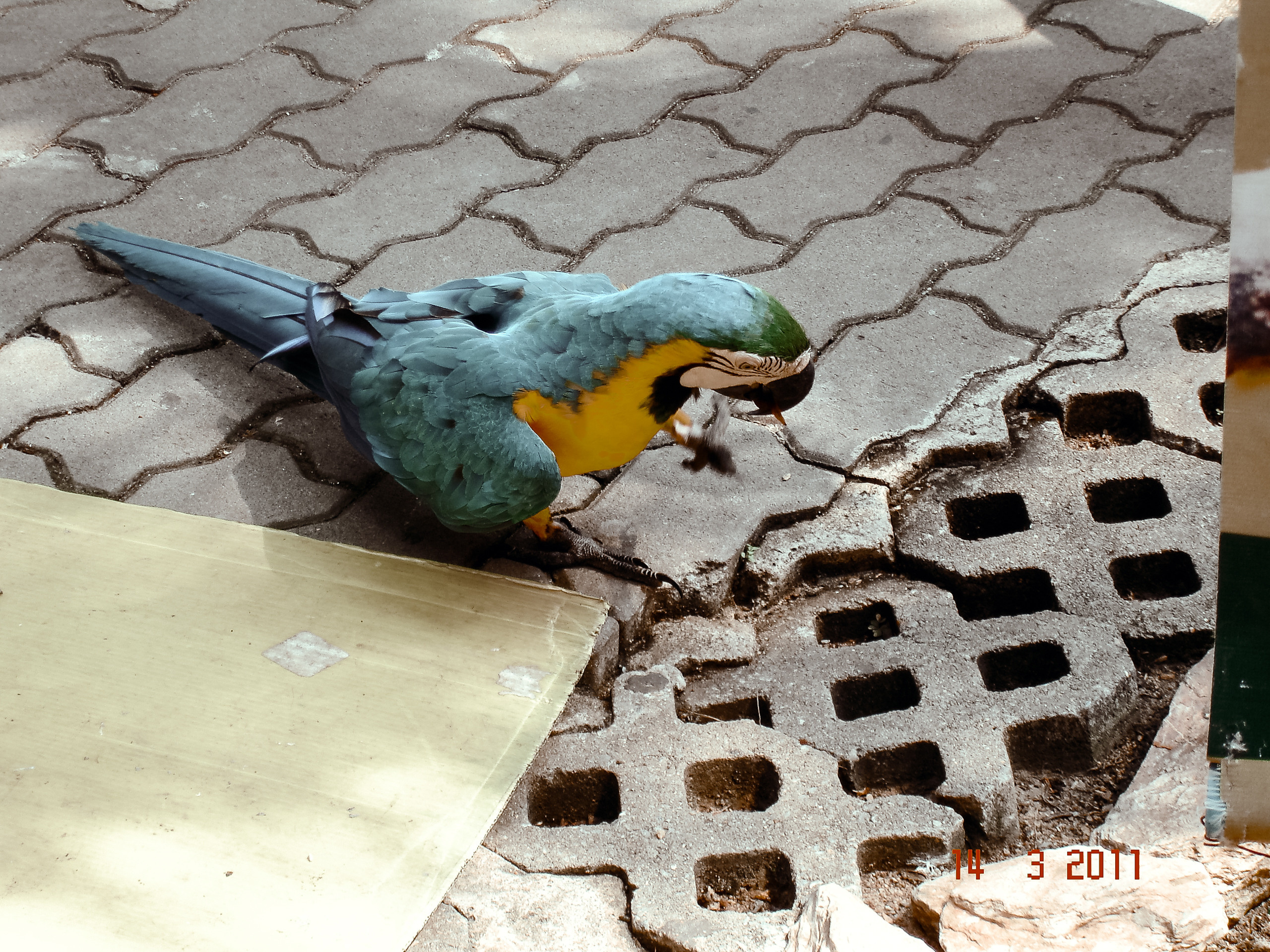 Тайланд. Фотограф в Хабаровске. Фотография за 24 часа