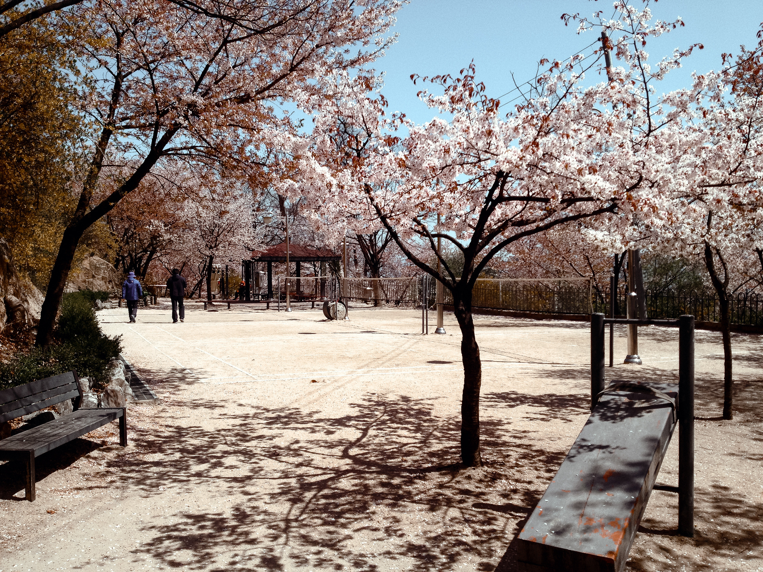 Корея 2014. Фотограф в Хабаровске. Фотография за 24 часа