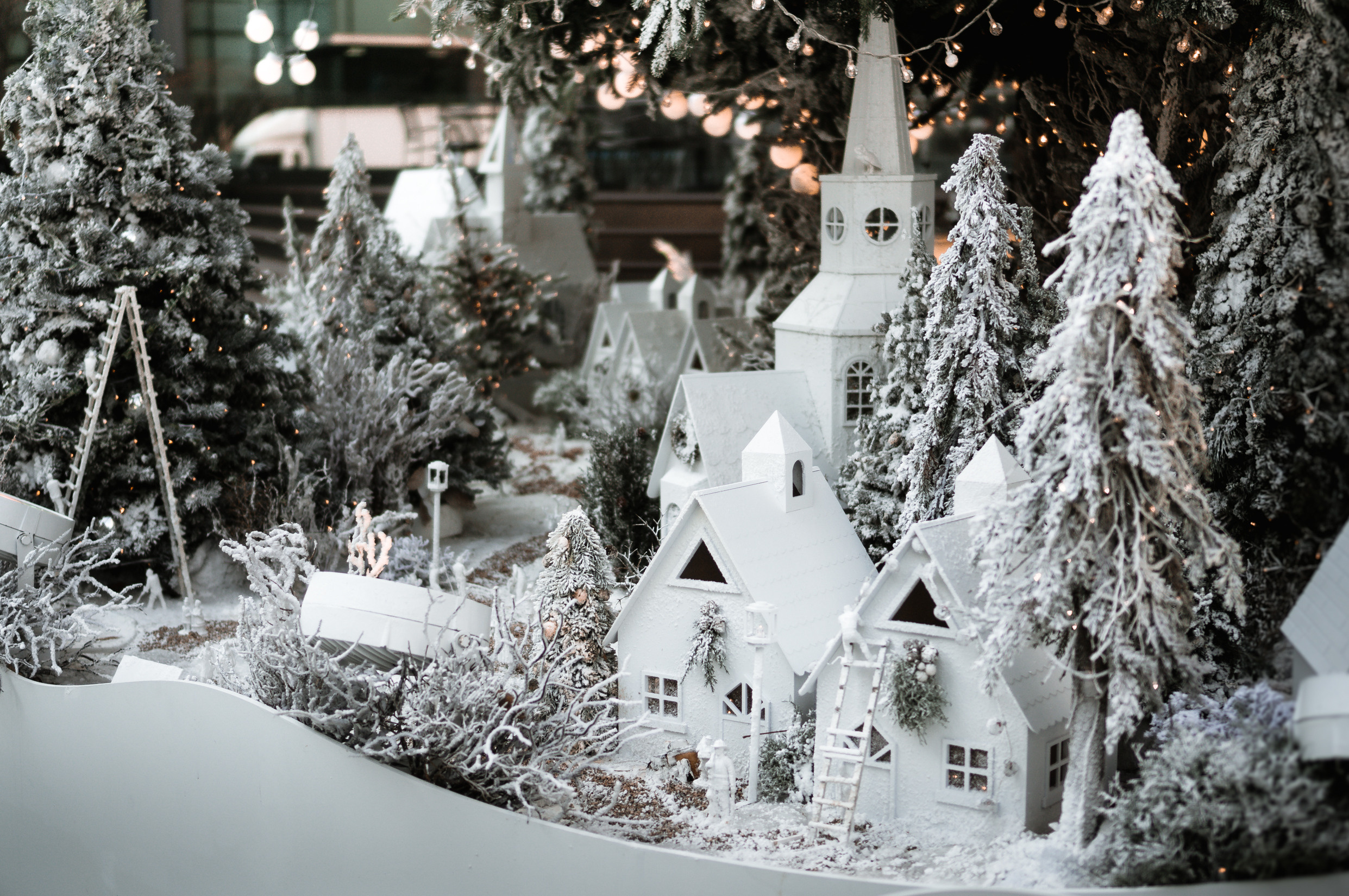 Корея ноябрь 2017. Фотограф в Хабаровске. Фотография за 24 часа