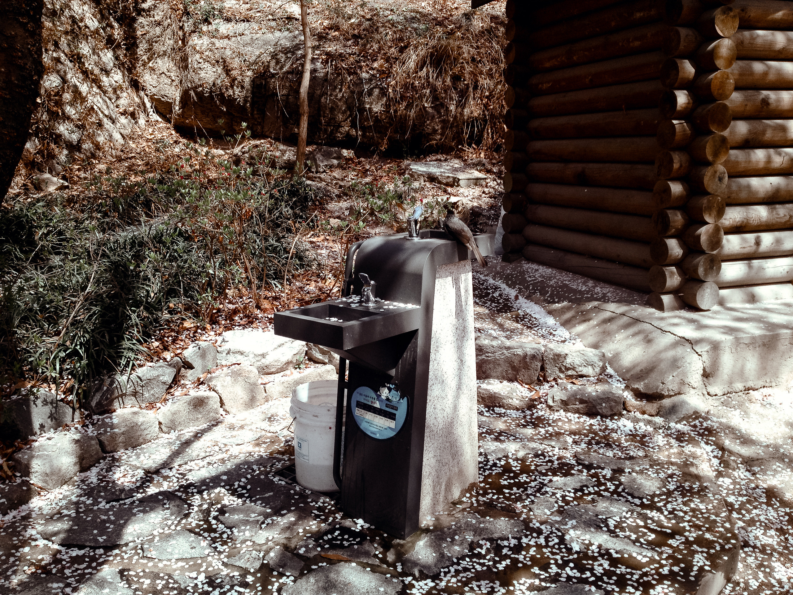 Корея 2014. Фотограф в Хабаровске. Фотография за 24 часа