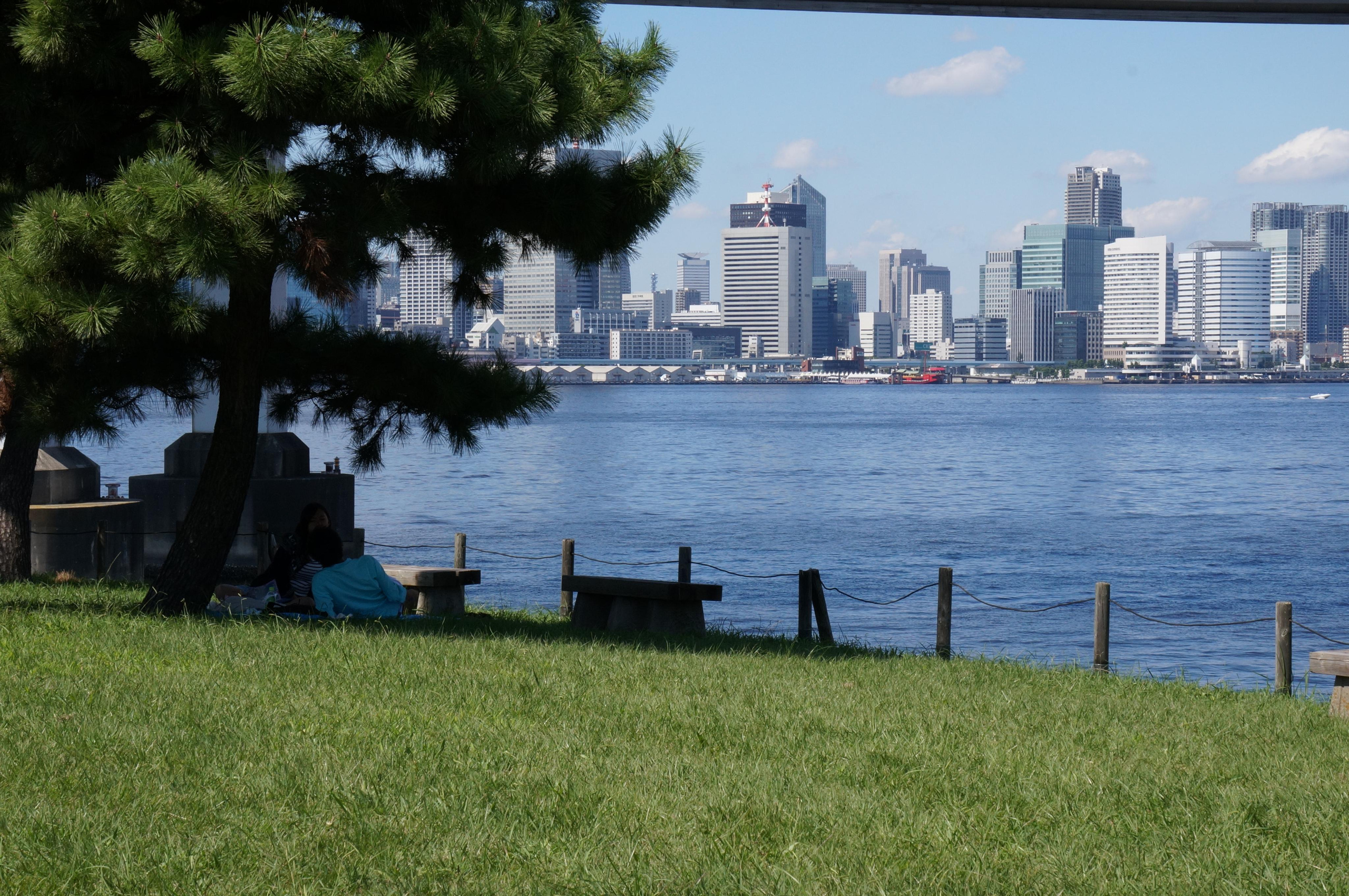 Япония. Токио, Киото. Фотограф в Хабаровске. Фотография за 24 часа