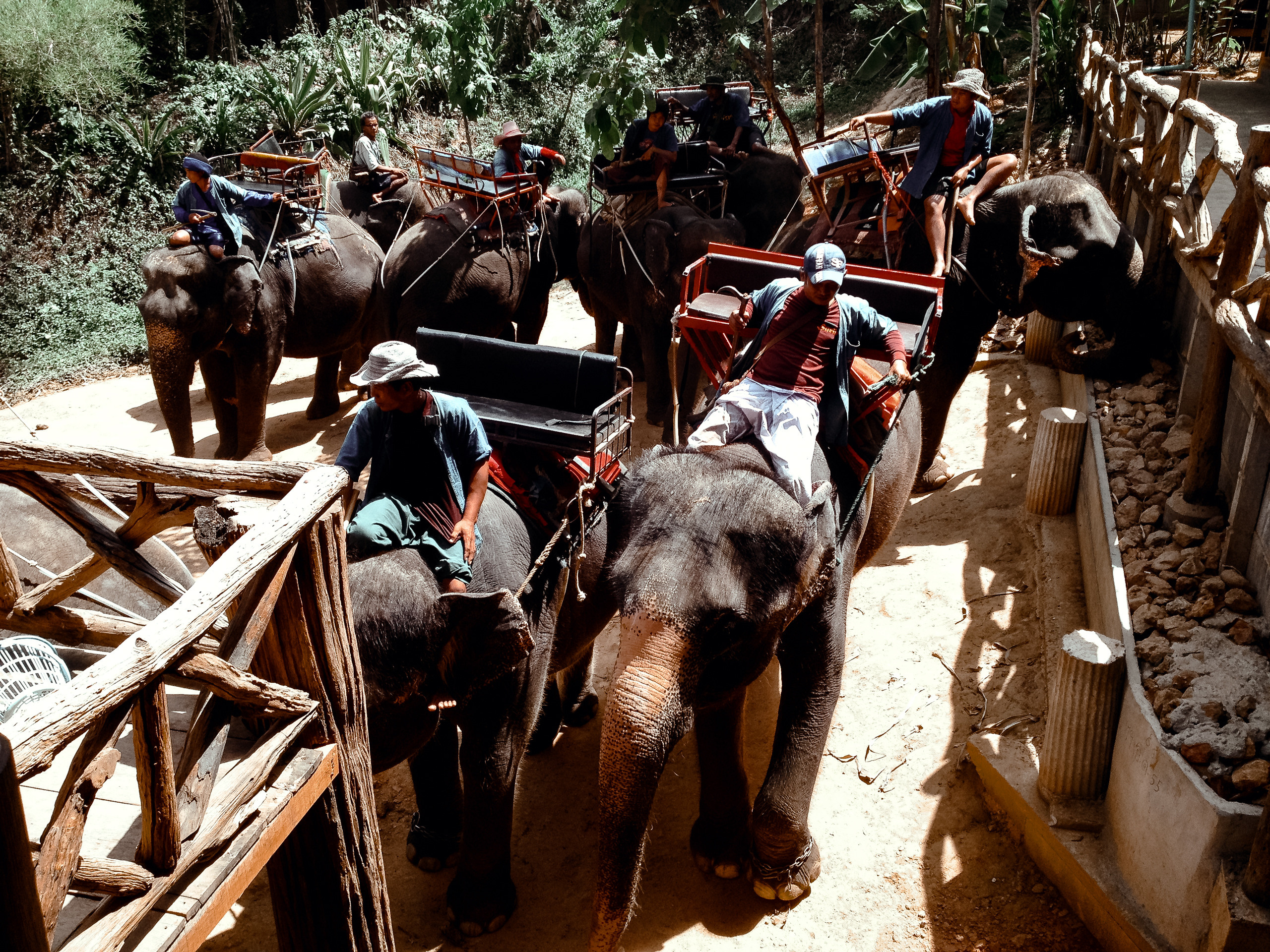 Тайланд. Паттая. Фотограф в Хабаровске. Фотография за 24 часа