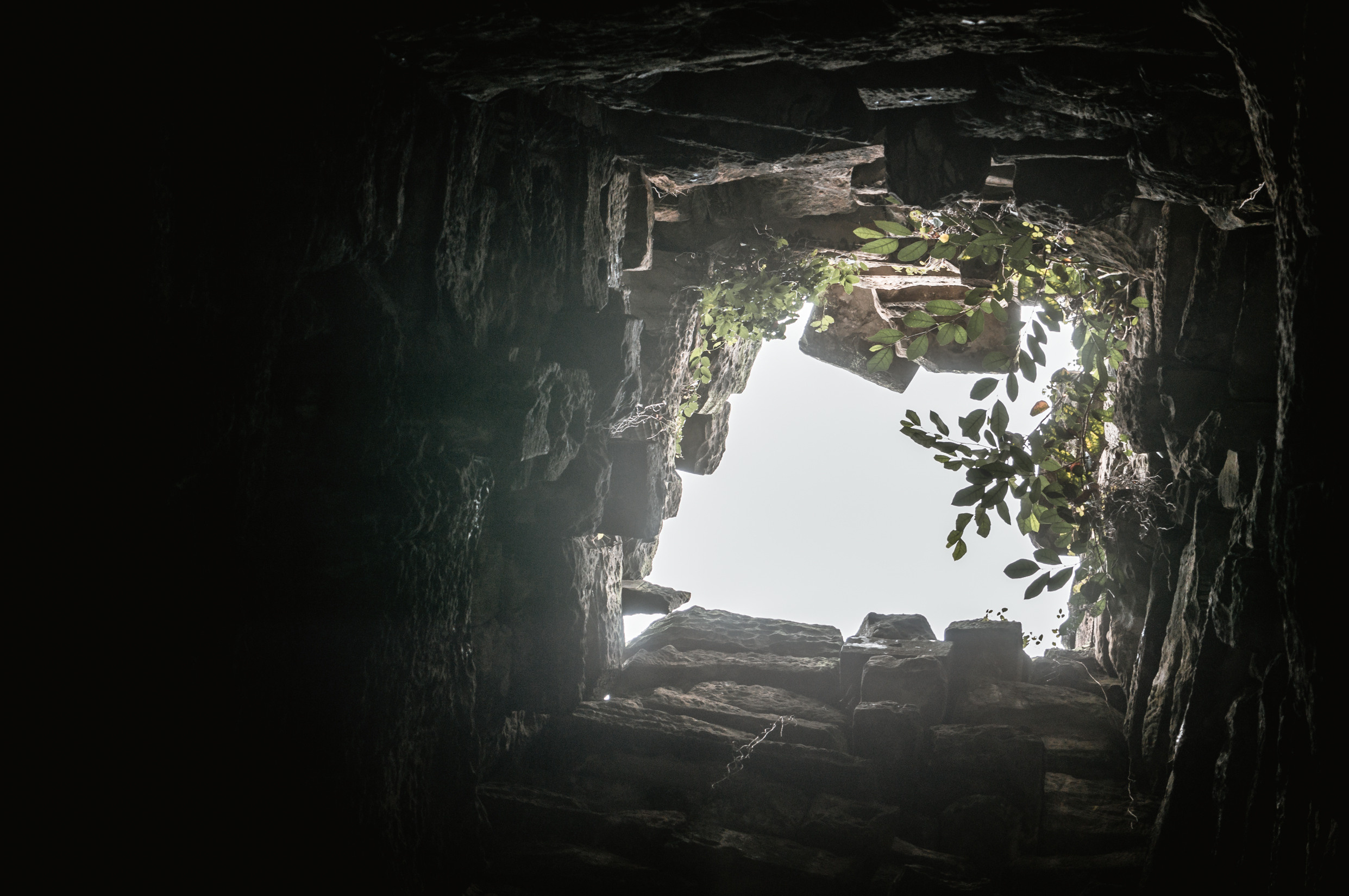 ЮВА: Южная Корея, Вьетнам, Камбоджа, Лаос. Фотограф в Хабаровске. Фотография за 24 часа