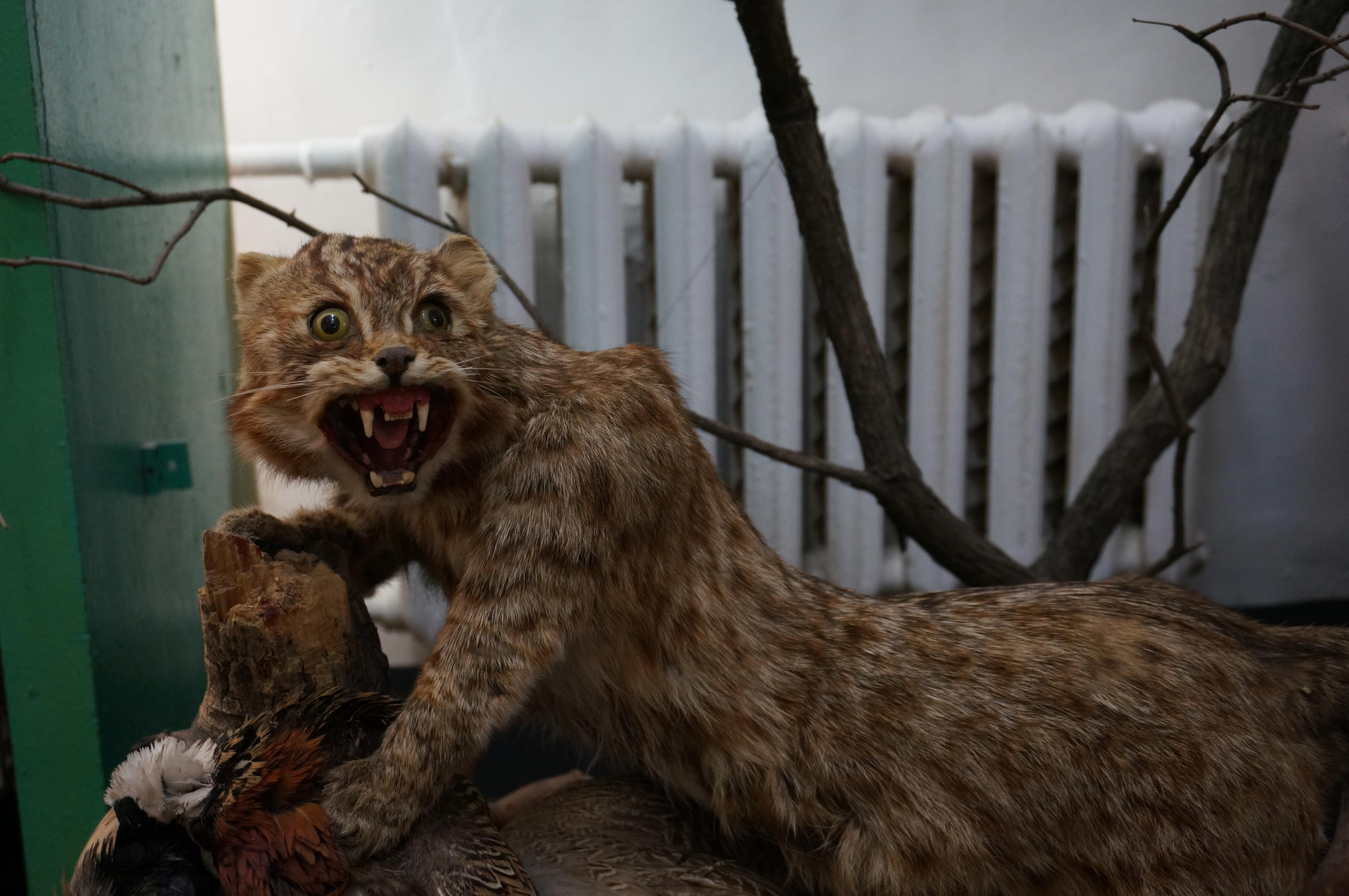 Хабаровск-Благовещенск. Фотограф в Хабаровске. Фотография за 24 часа
