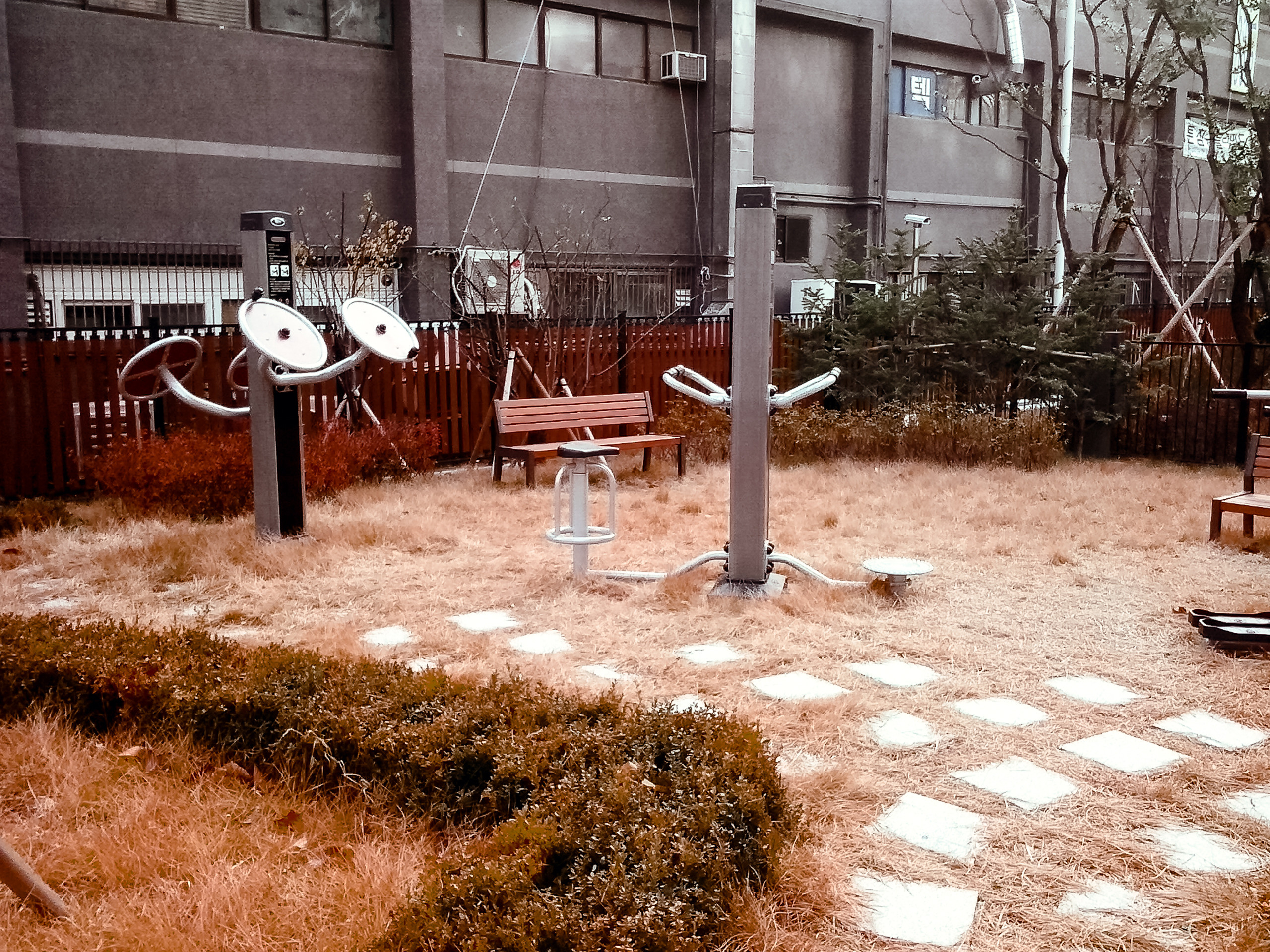 Корея 2012. Фотограф в Хабаровске. Фотография за 24 часа