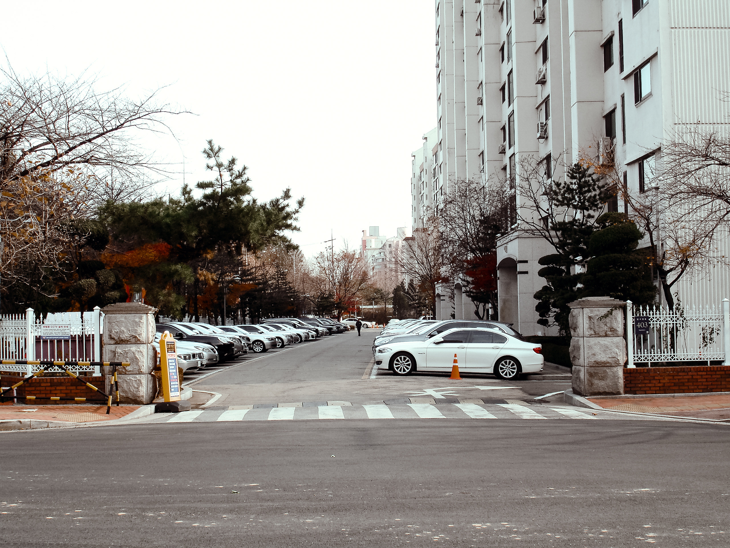 Корея 2012. Фотограф в Хабаровске. Фотография за 24 часа