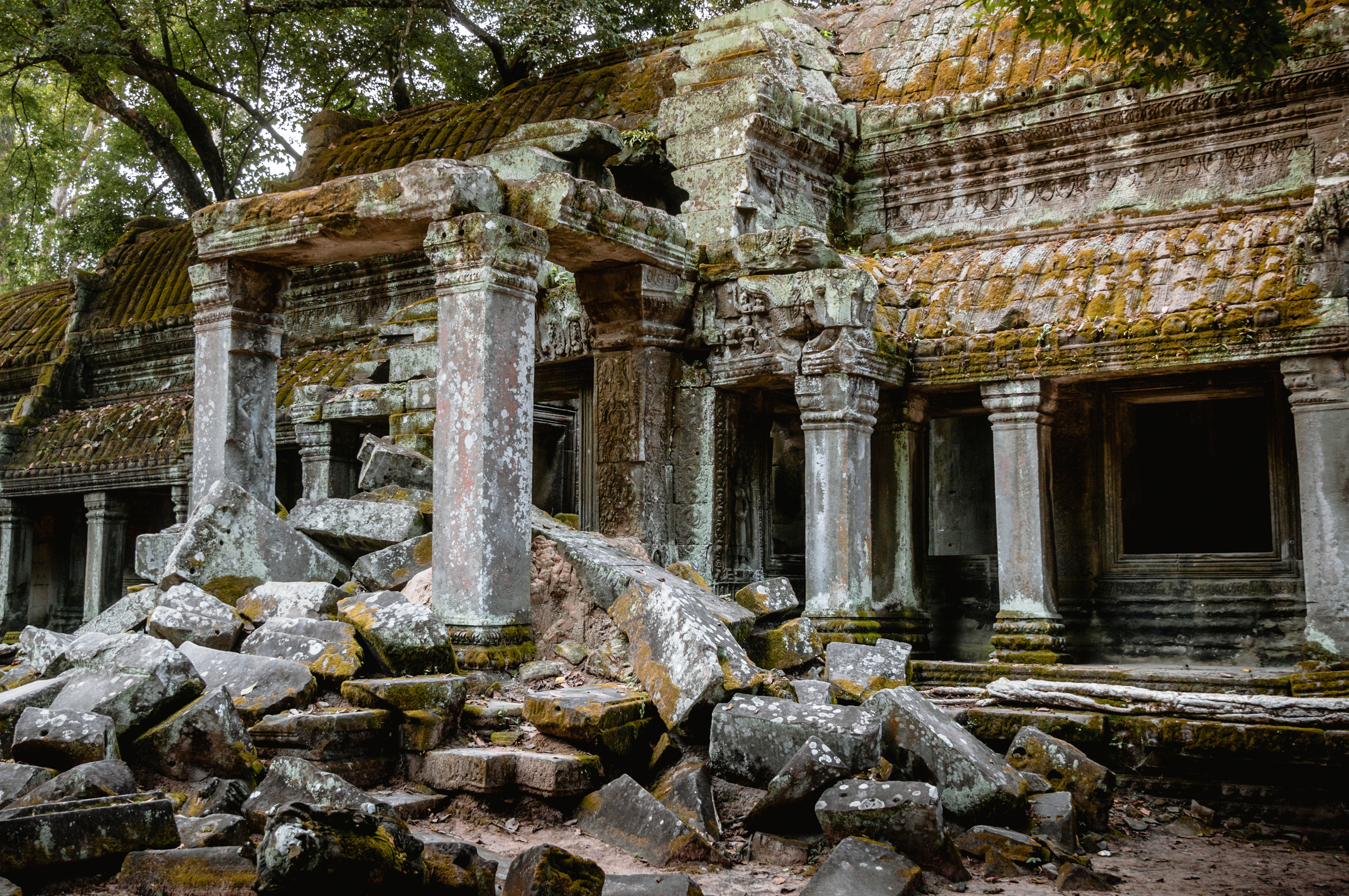 ЮВА: Южная Корея, Вьетнам, Камбоджа, Лаос. Фотограф в Хабаровске. Фотография за 24 часа