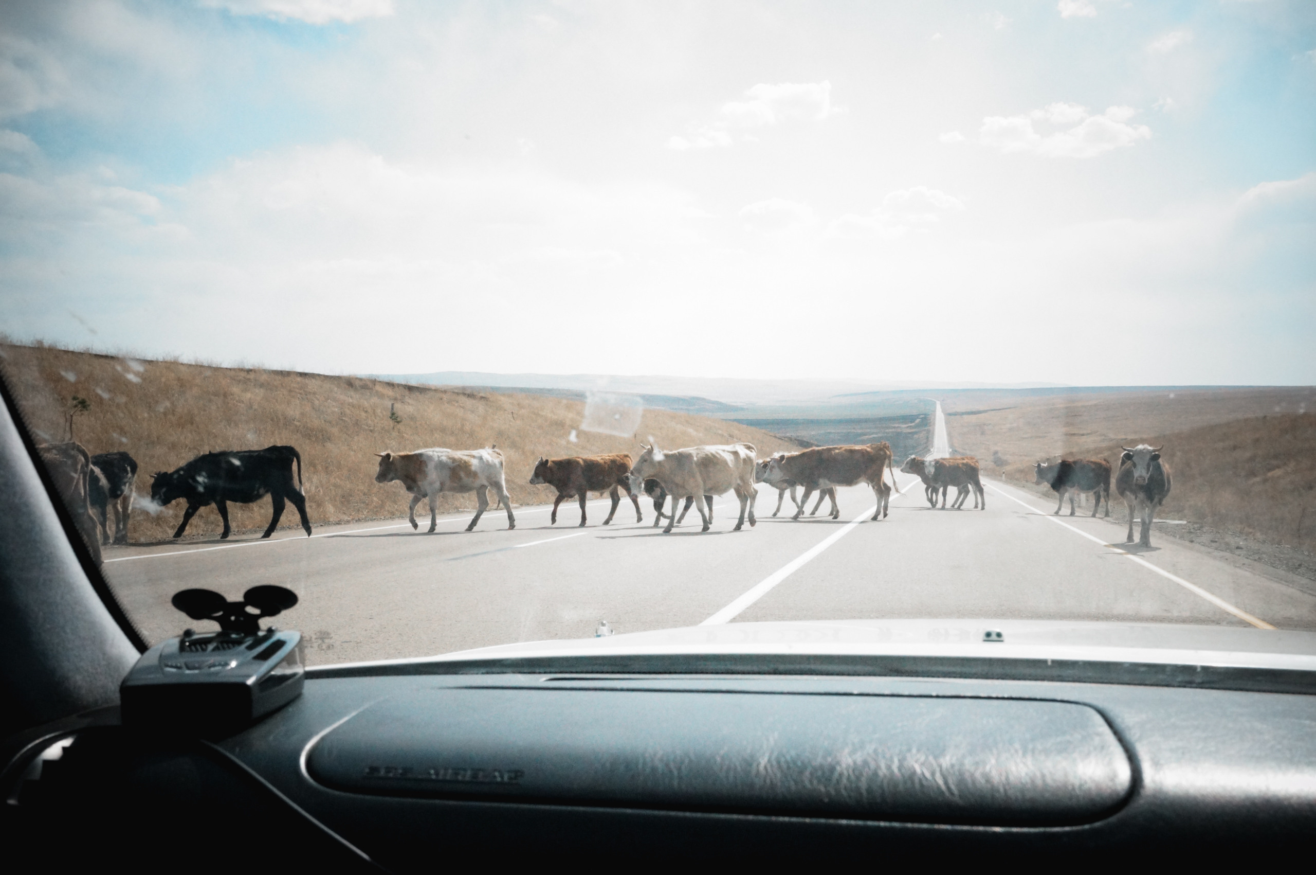 Хабаровск-Чита. Фотограф в Хабаровске. Фотография за 24 часа