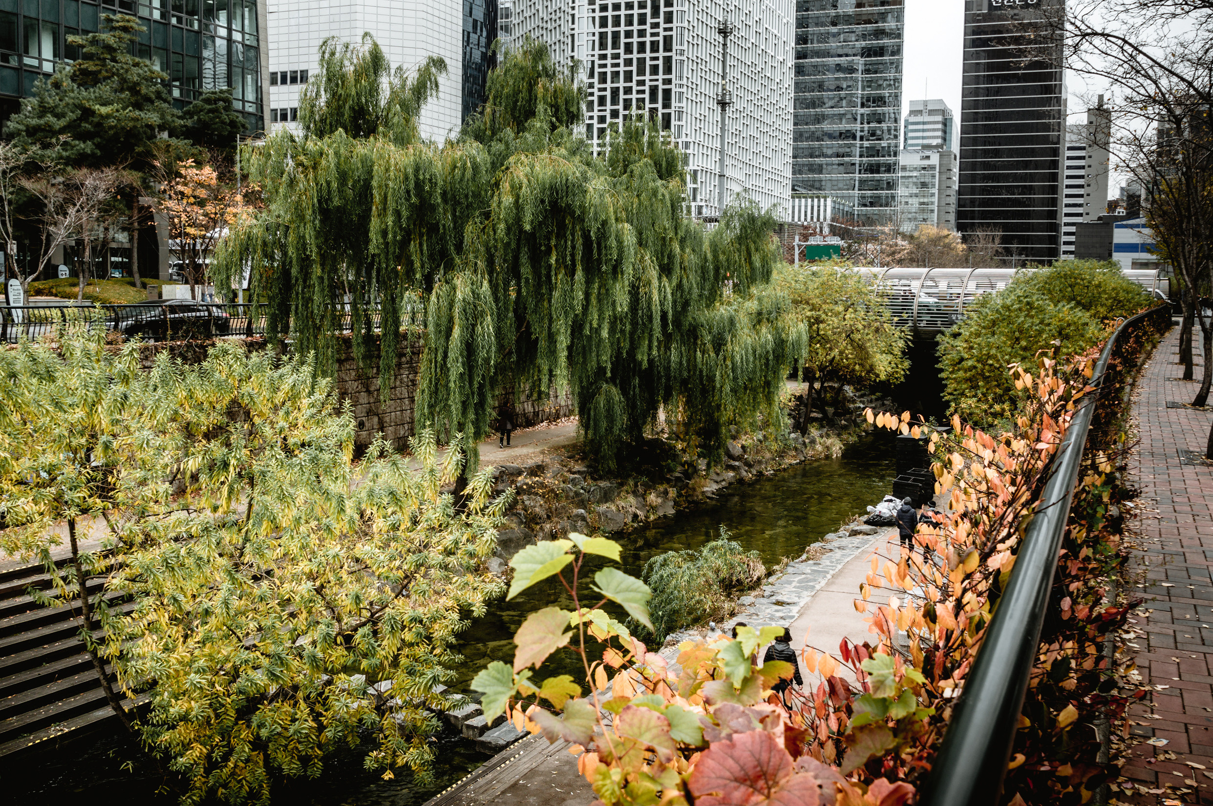 ЮВА: Южная Корея, Вьетнам, Камбоджа, Лаос. Фотограф в Хабаровске. Фотография за 24 часа