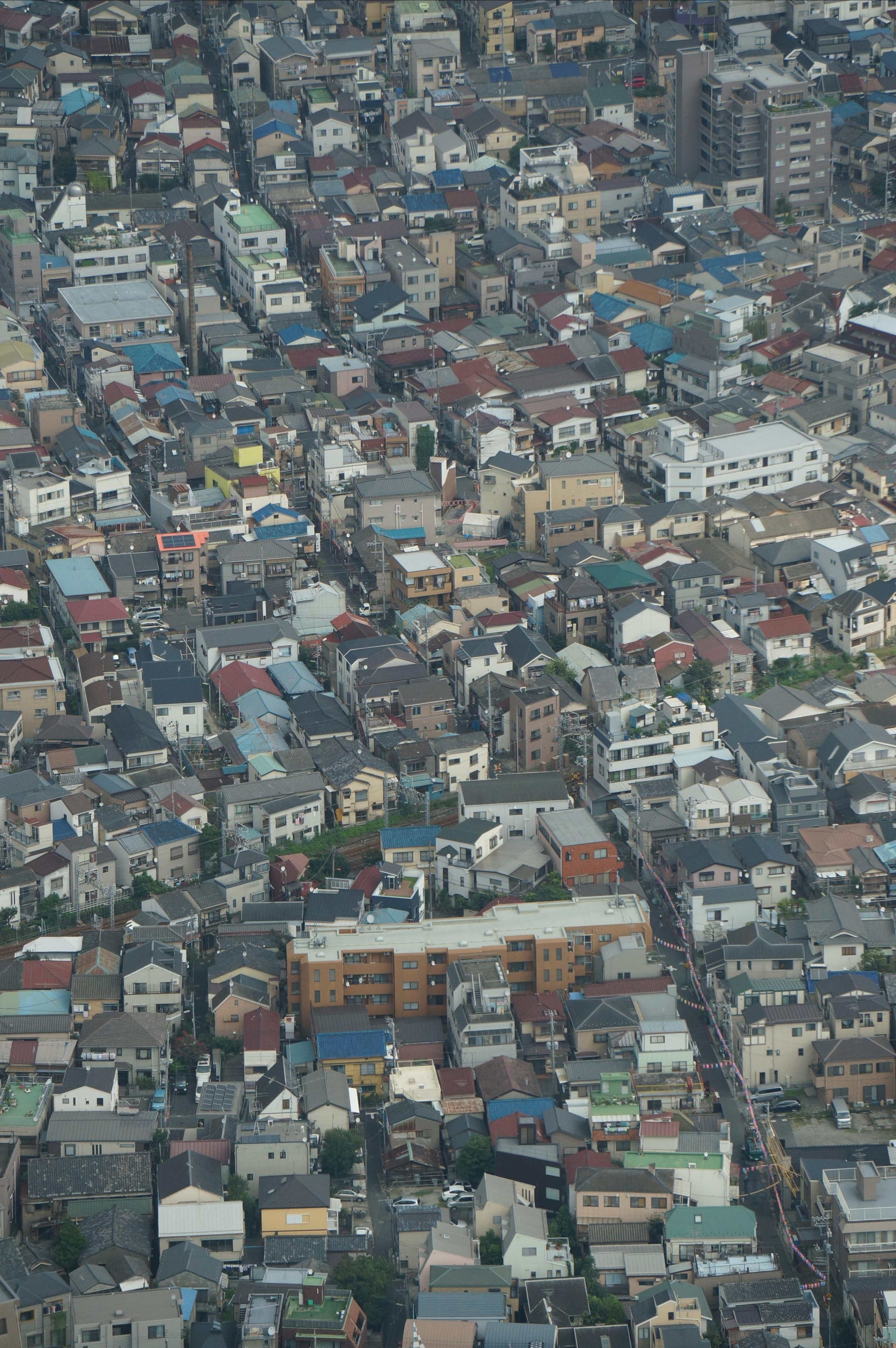 Япония. Токио, Киото. Фотограф в Хабаровске. Фотография за 24 часа