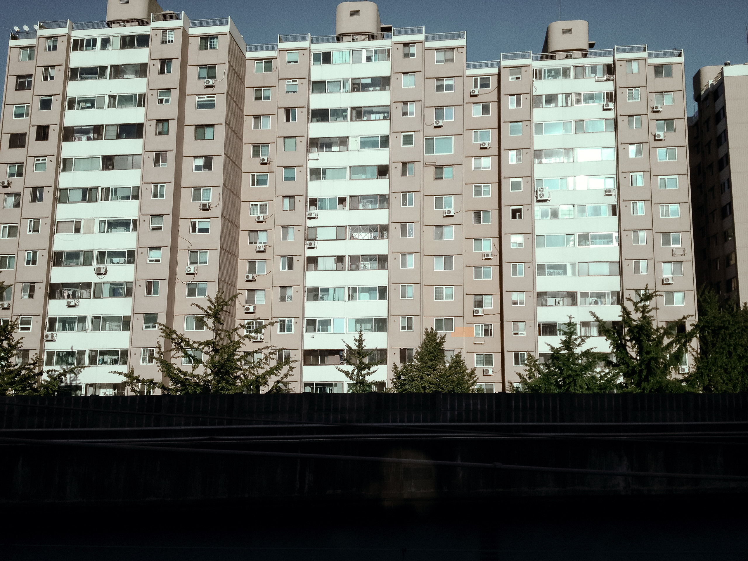 Корея 2013. Фотограф в Хабаровске. Фотография за 24 часа