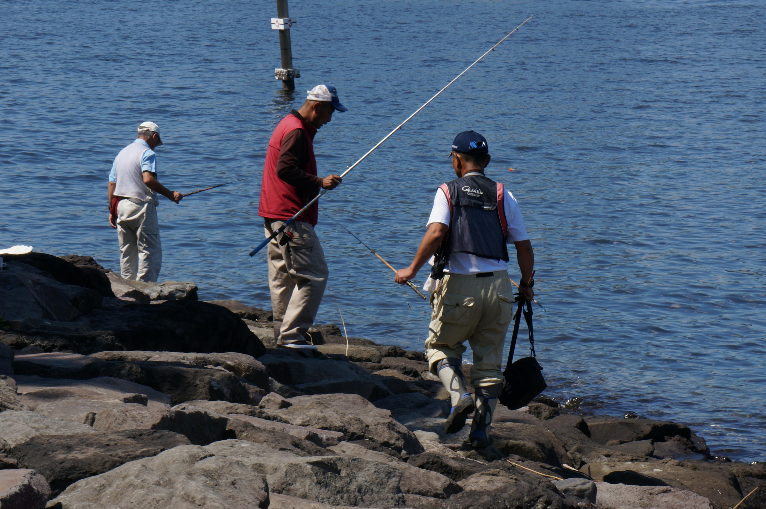 Япония. Токио, Киото. Фотограф в Хабаровске. Фотография за 24 часа