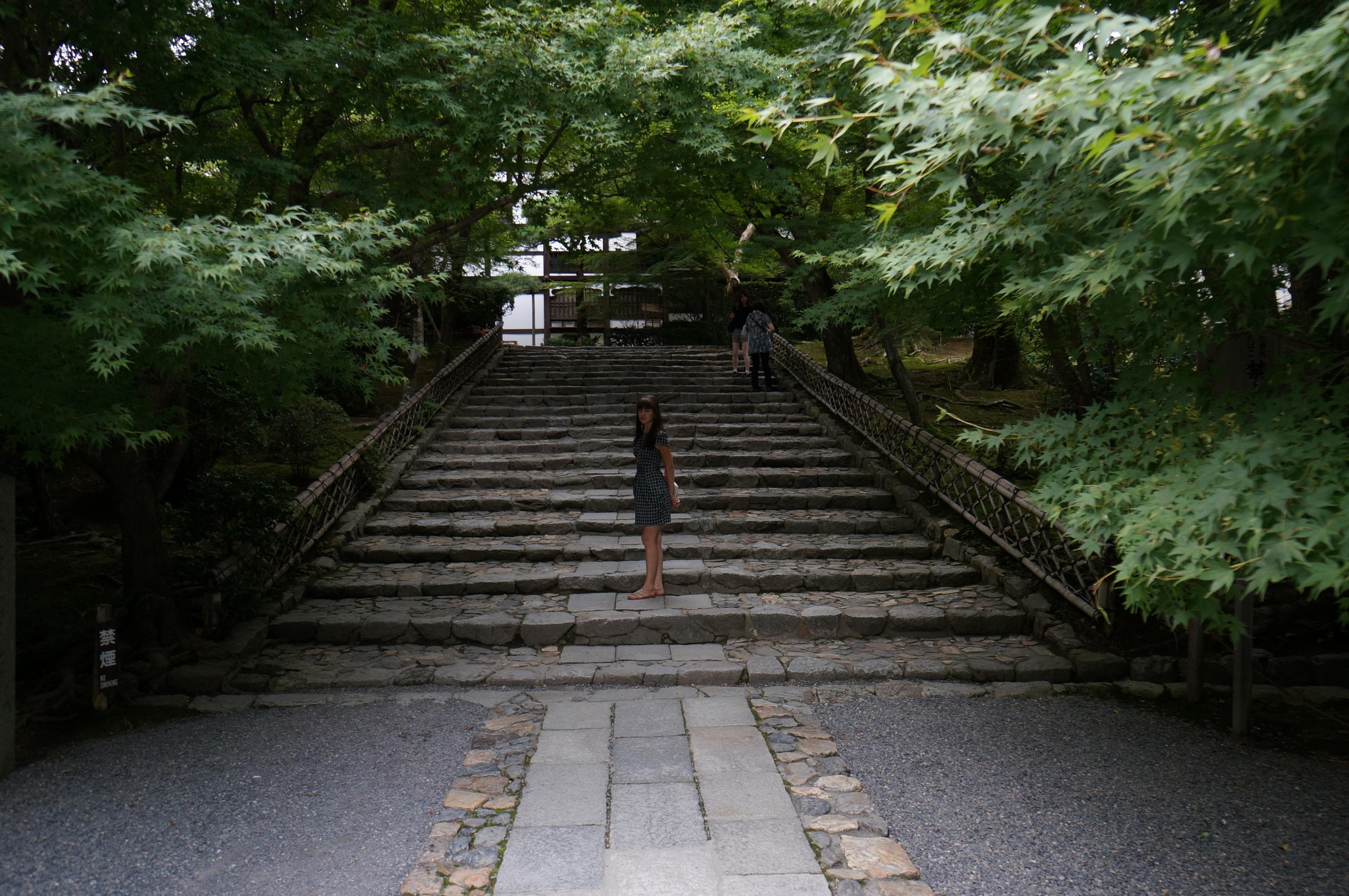 Япония. Токио, Киото. Фотограф в Хабаровске. Фотография за 24 часа