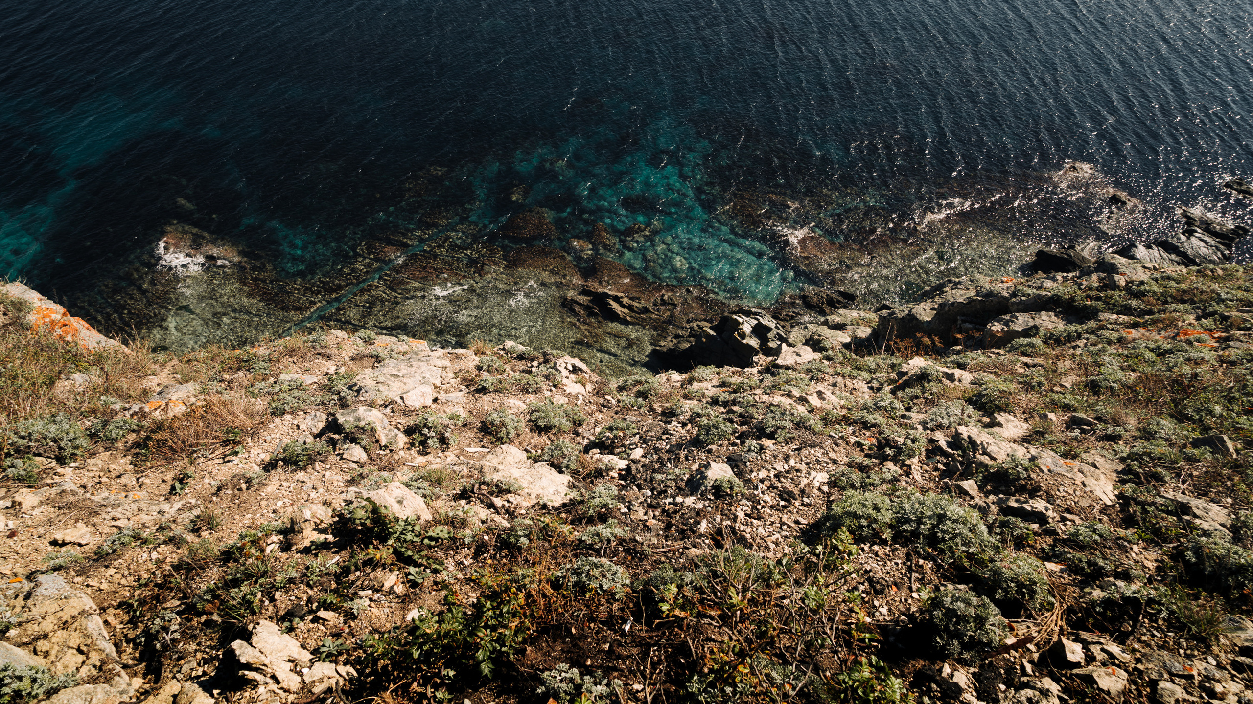 Россия. Приморский край. Фотограф в Хабаровске. Фотография за 24 часа