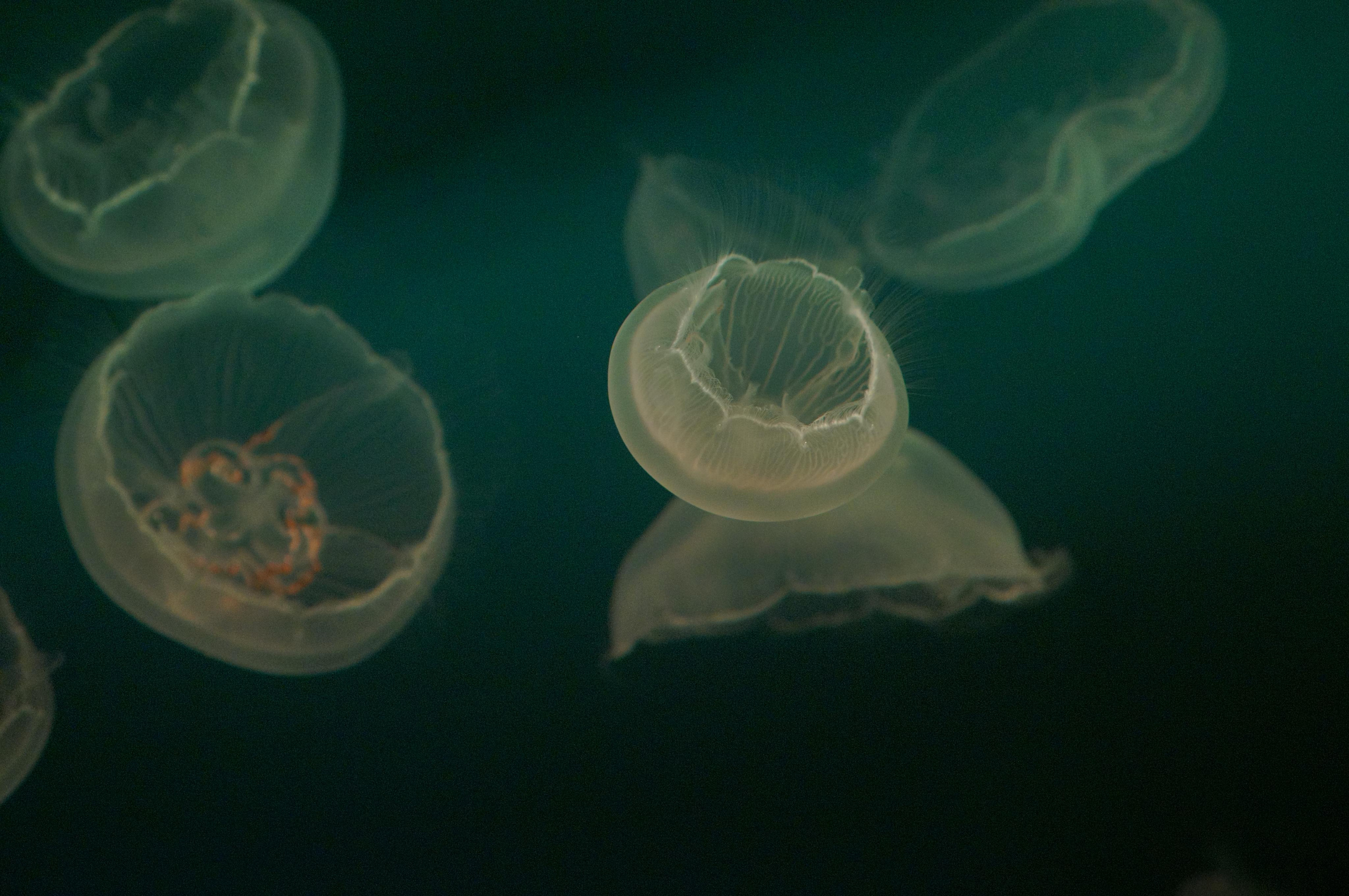 Корея октябрь 2015. Фотограф в Хабаровске. Фотография за 24 часа