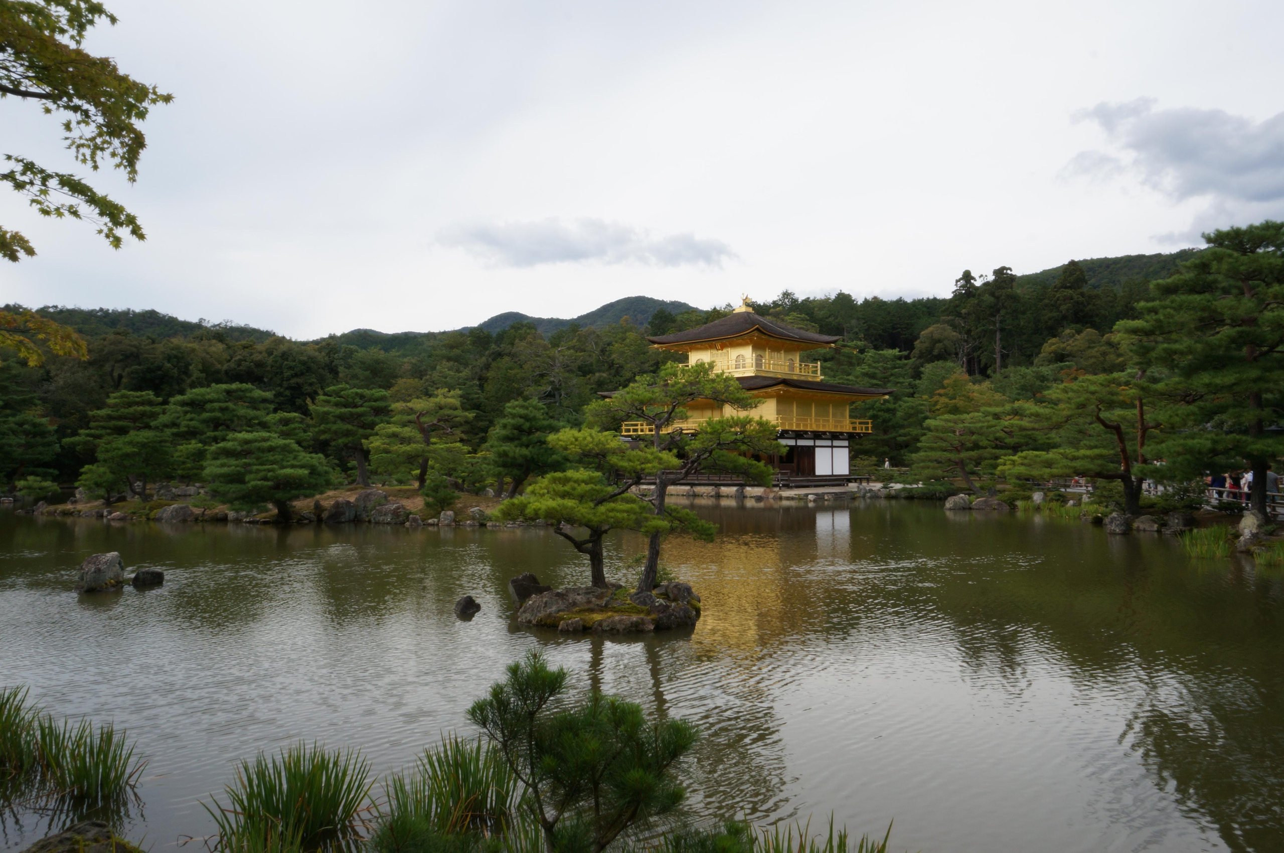 Япония. Токио, Киото. Фотограф в Хабаровске. Фотография за 24 часа