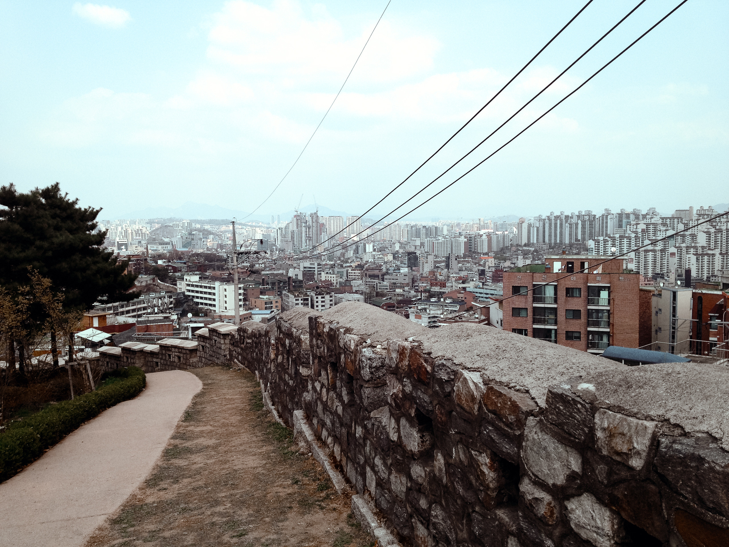 Корея 2014. Фотограф в Хабаровске. Фотография за 24 часа