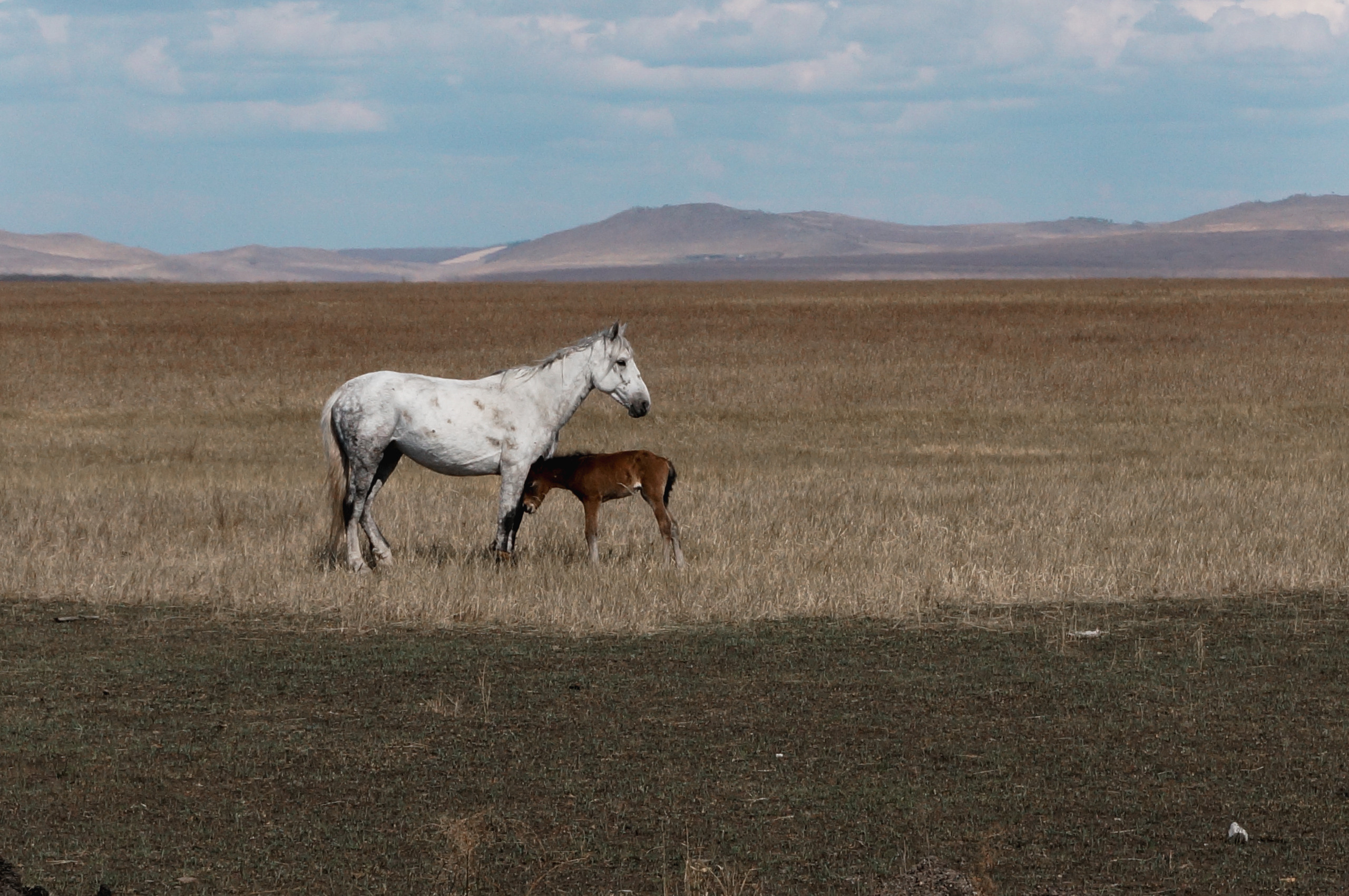 Хабаровск-Чита. Фотограф в Хабаровске. Фотография за 24 часа