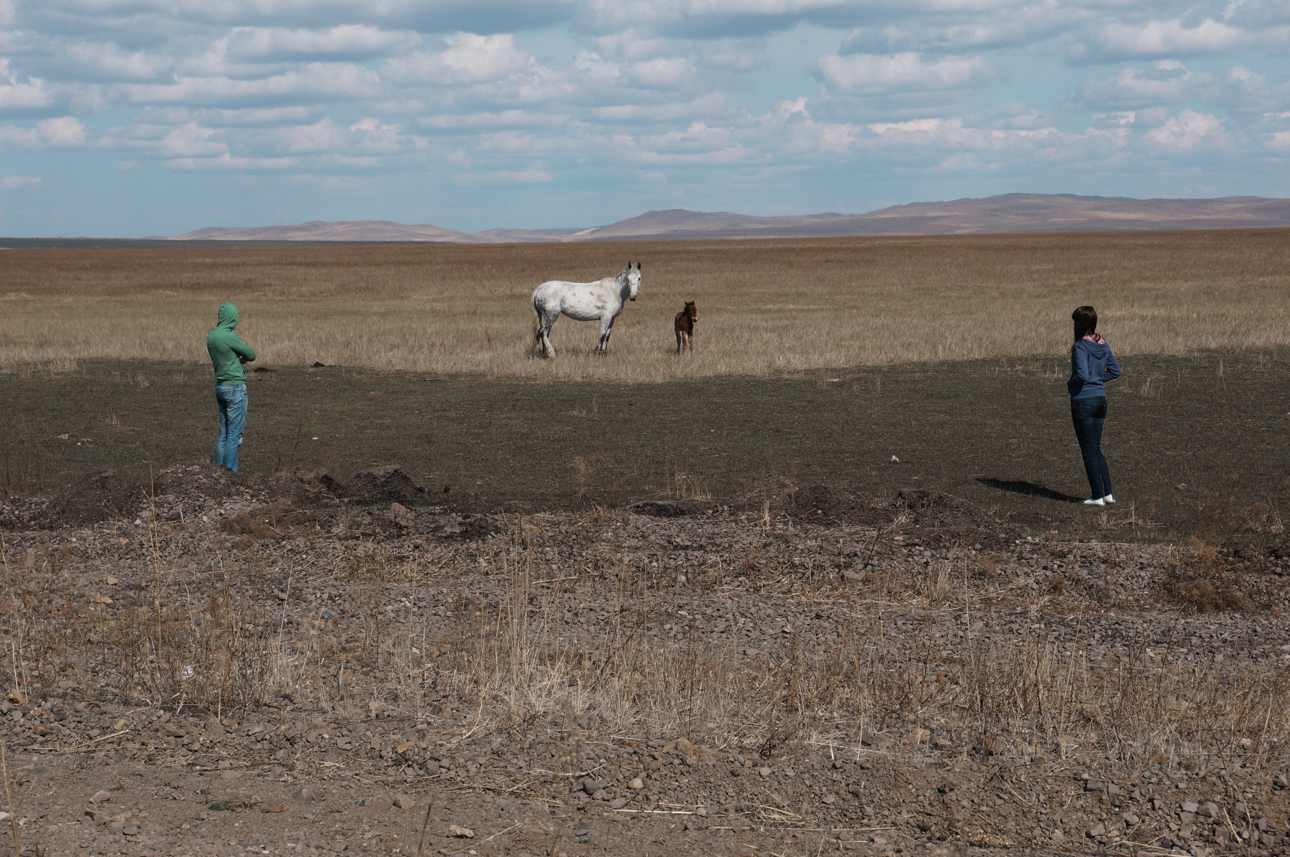 Хабаровск-Чита. Фотограф в Хабаровске. Фотография за 24 часа