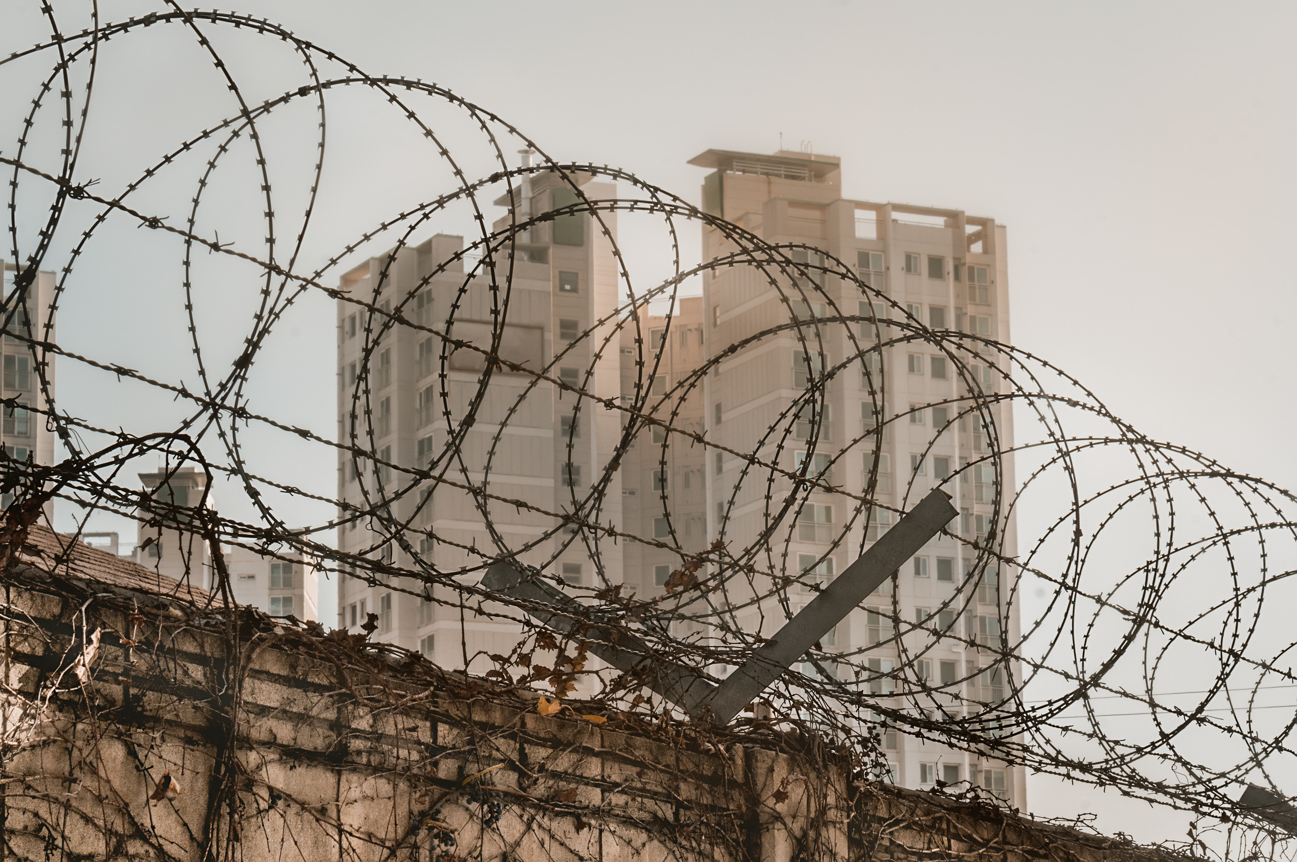 Корея ноябрь 2016. Фотограф в Хабаровске. Фотография за 24 часа