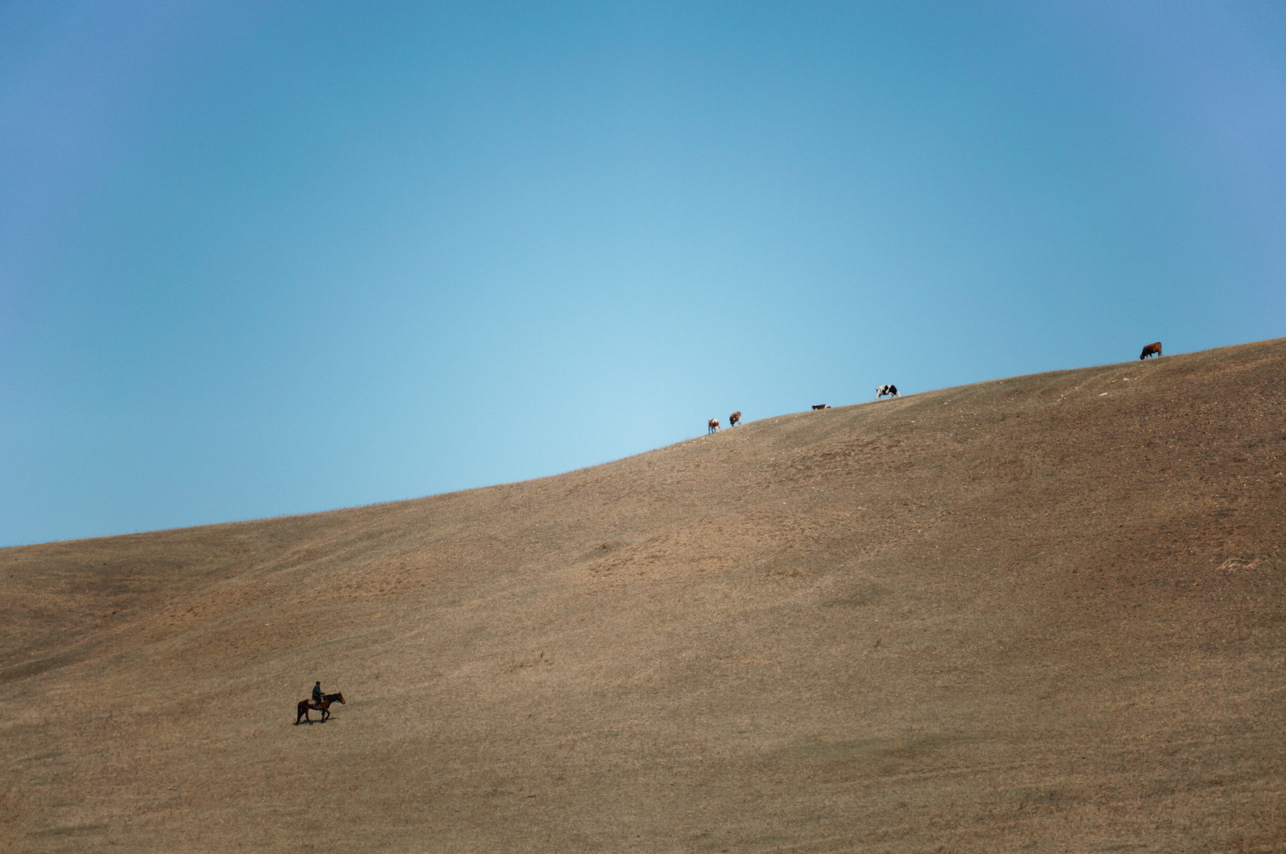 Хабаровск-Чита. Фотограф в Хабаровске. Фотография за 24 часа