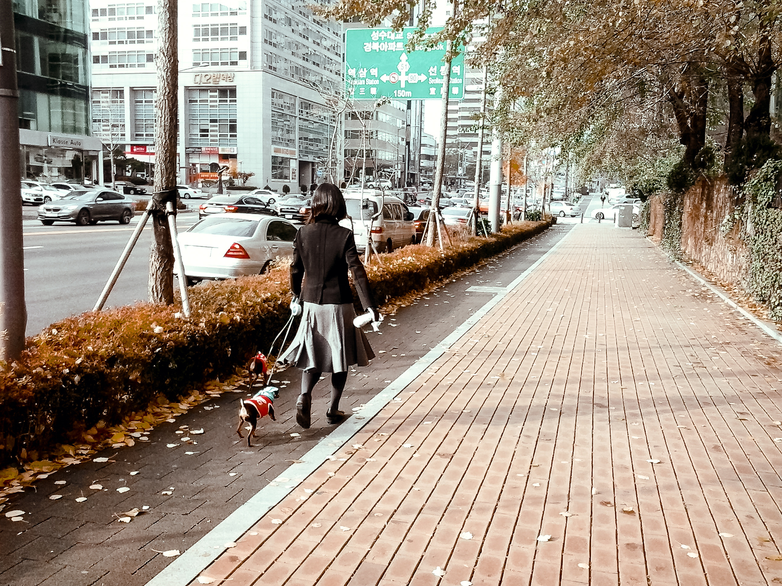 Корея 2012. Фотограф в Хабаровске. Фотография за 24 часа