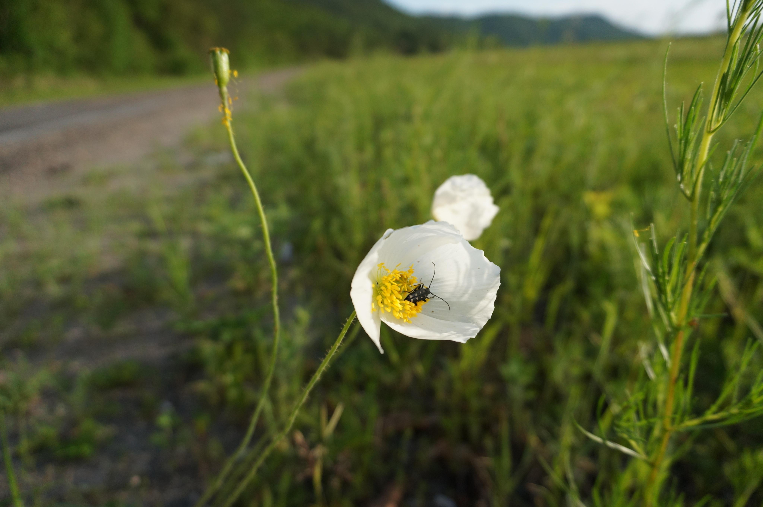 Хабаровск-Благовещенск. Фотограф в Хабаровске. Фотография за 24 часа