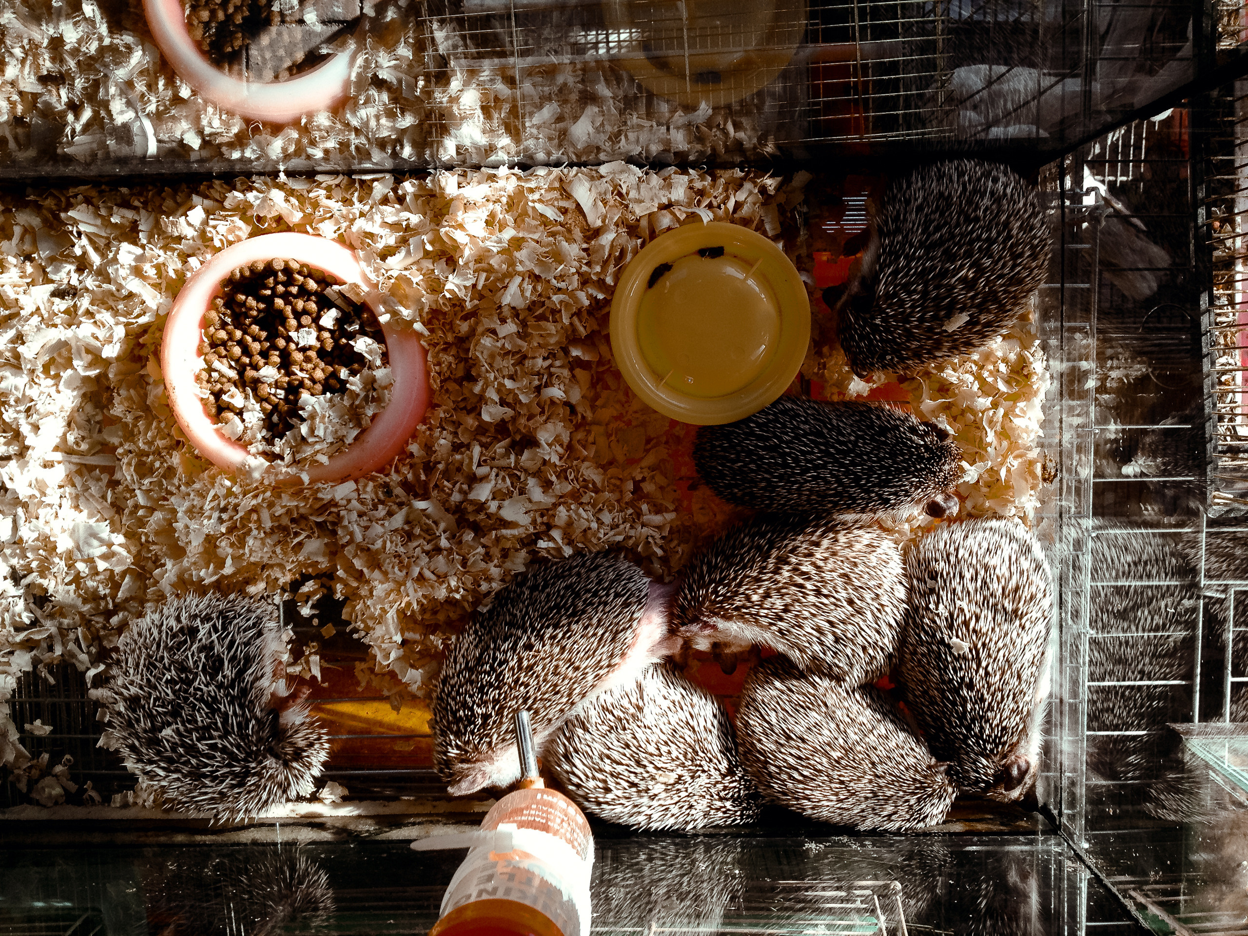 Корея 2013. Фотограф в Хабаровске. Фотография за 24 часа