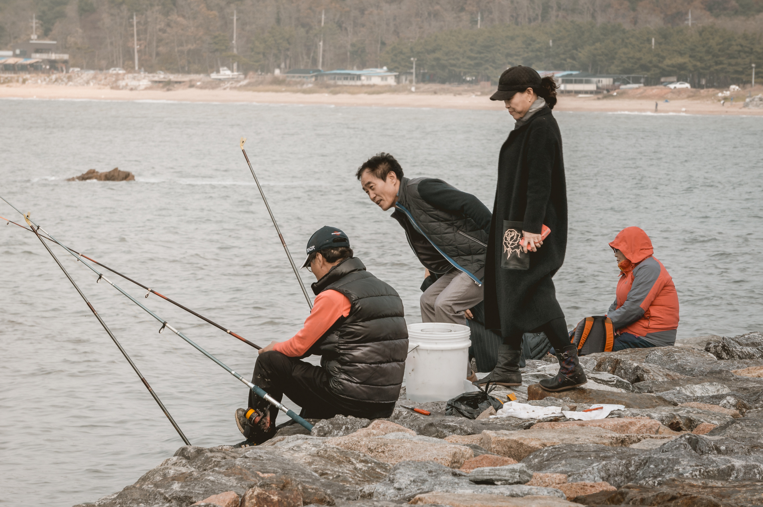 Корея ноябрь 2016. Фотограф в Хабаровске. Фотография за 24 часа