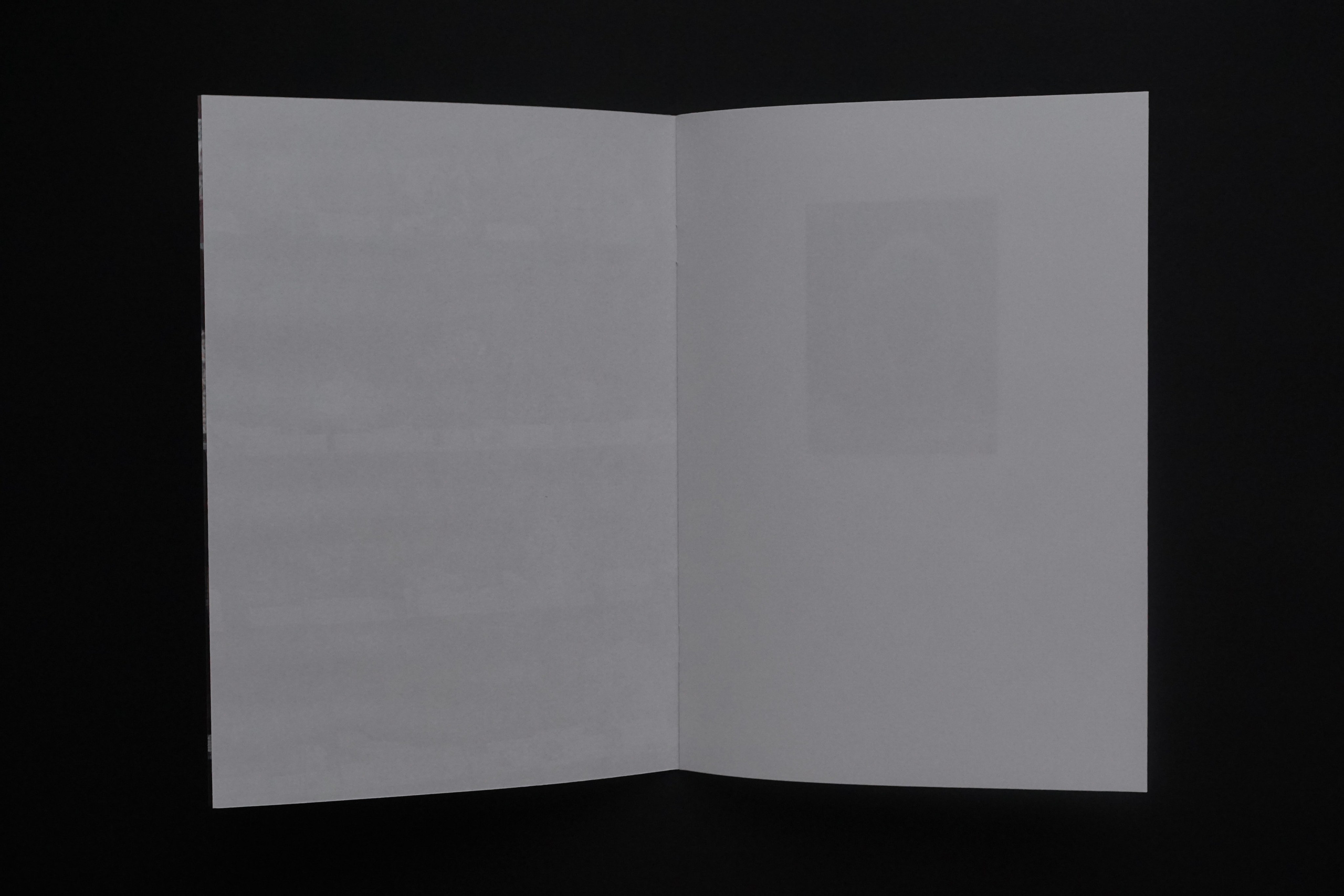 Overview. Anastasia Maryasova