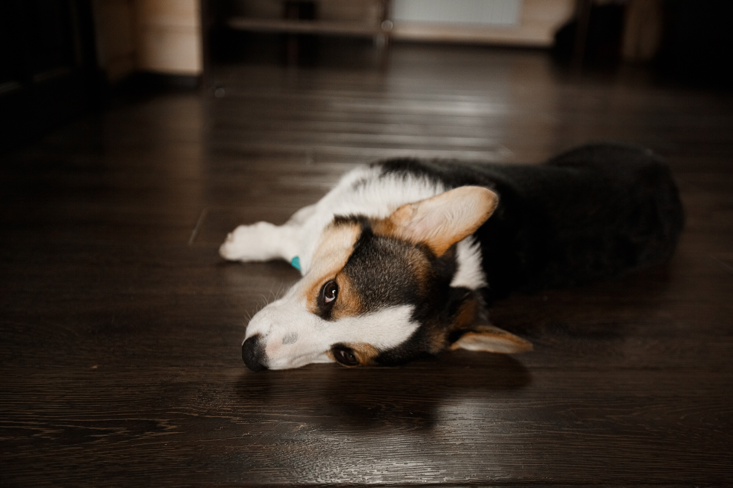 С + Д — август. Свадебный и семейный фотограф Наталья Штык