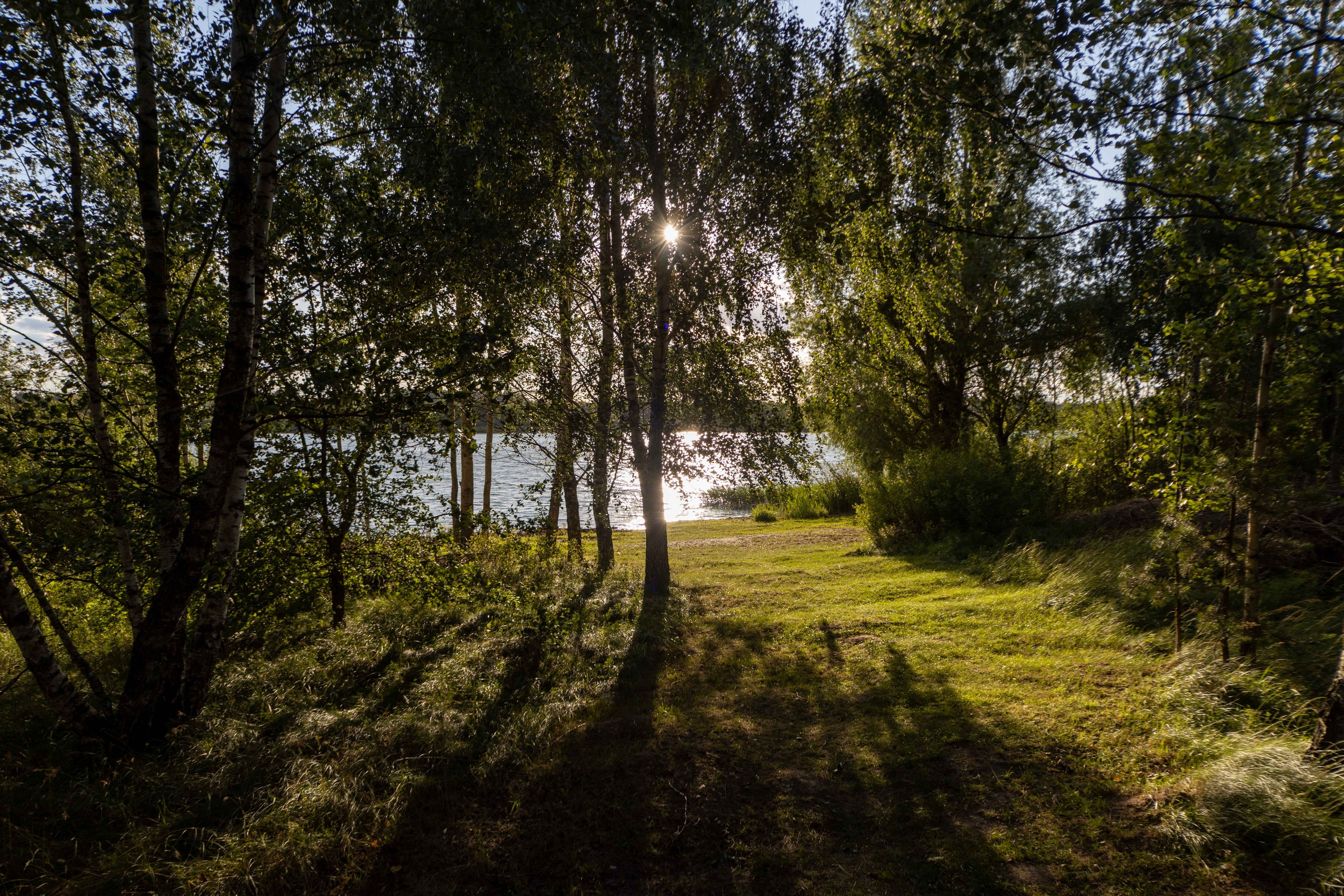 Проход к акватории Петровичского водохранилища через деревья - фото Sakavita Media