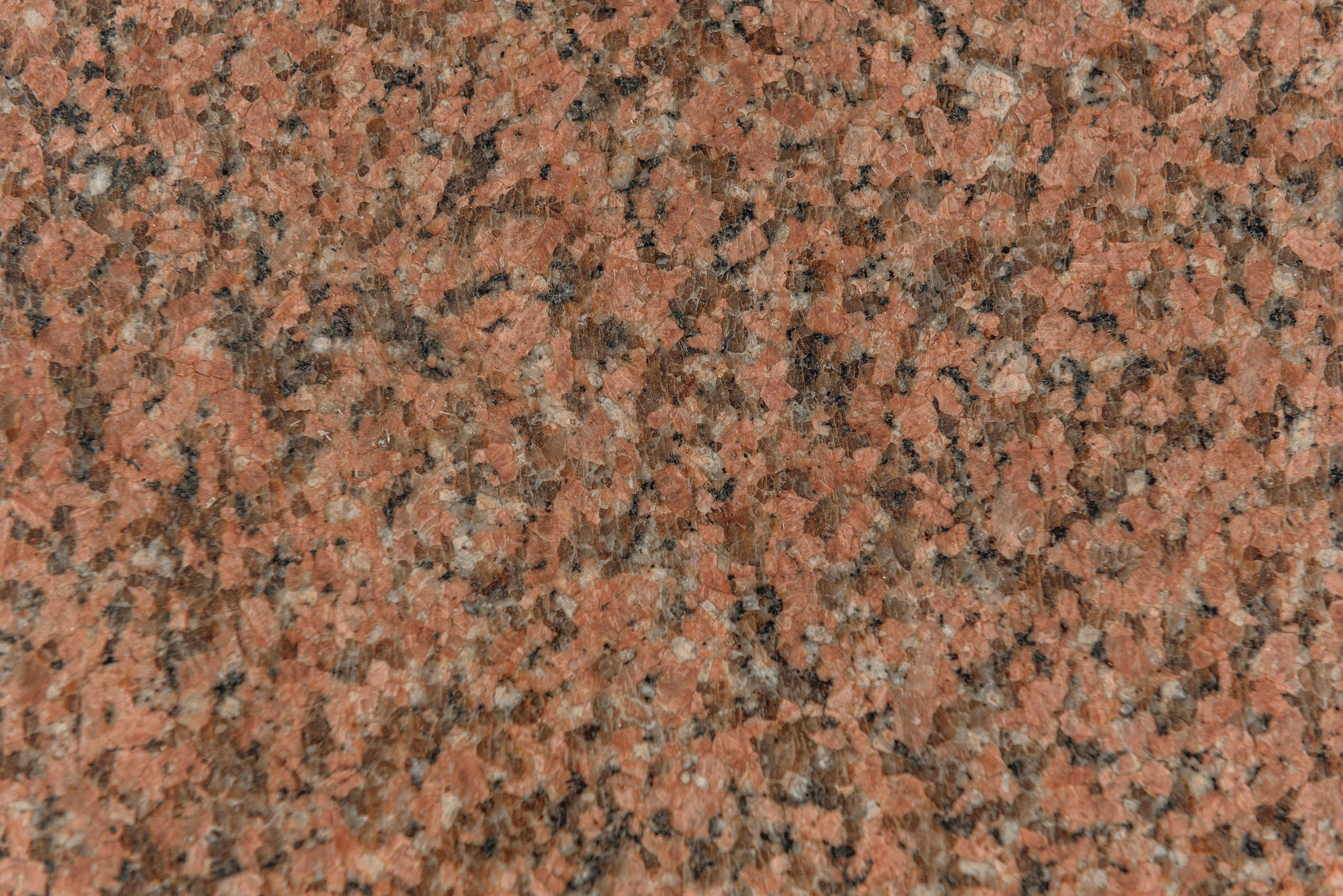 Контент. Семейный фотограф в Братске Маклакова Татьяна