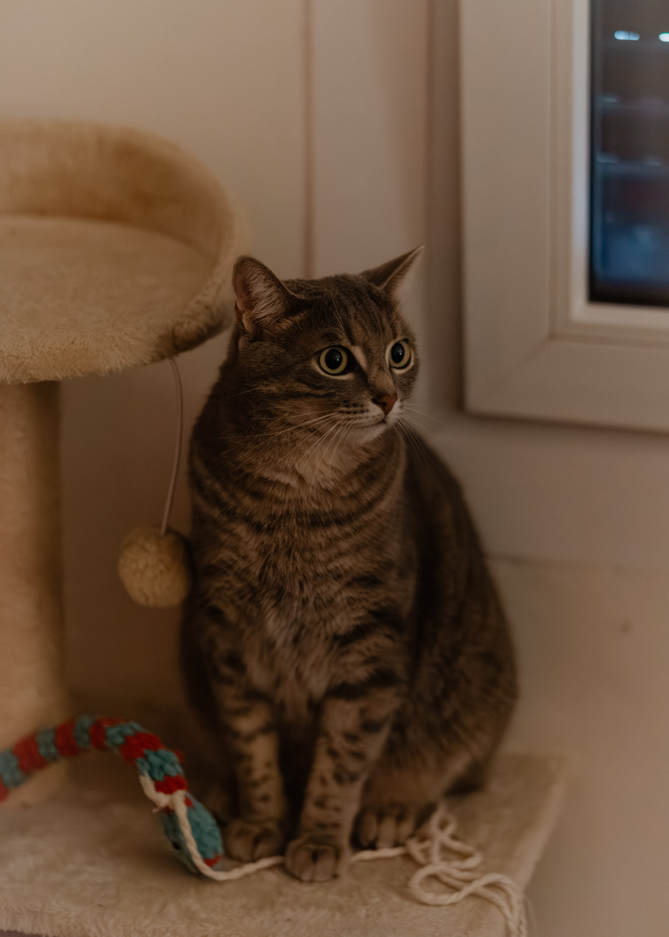 Pumpkin Workshop. Barbara Isaeva