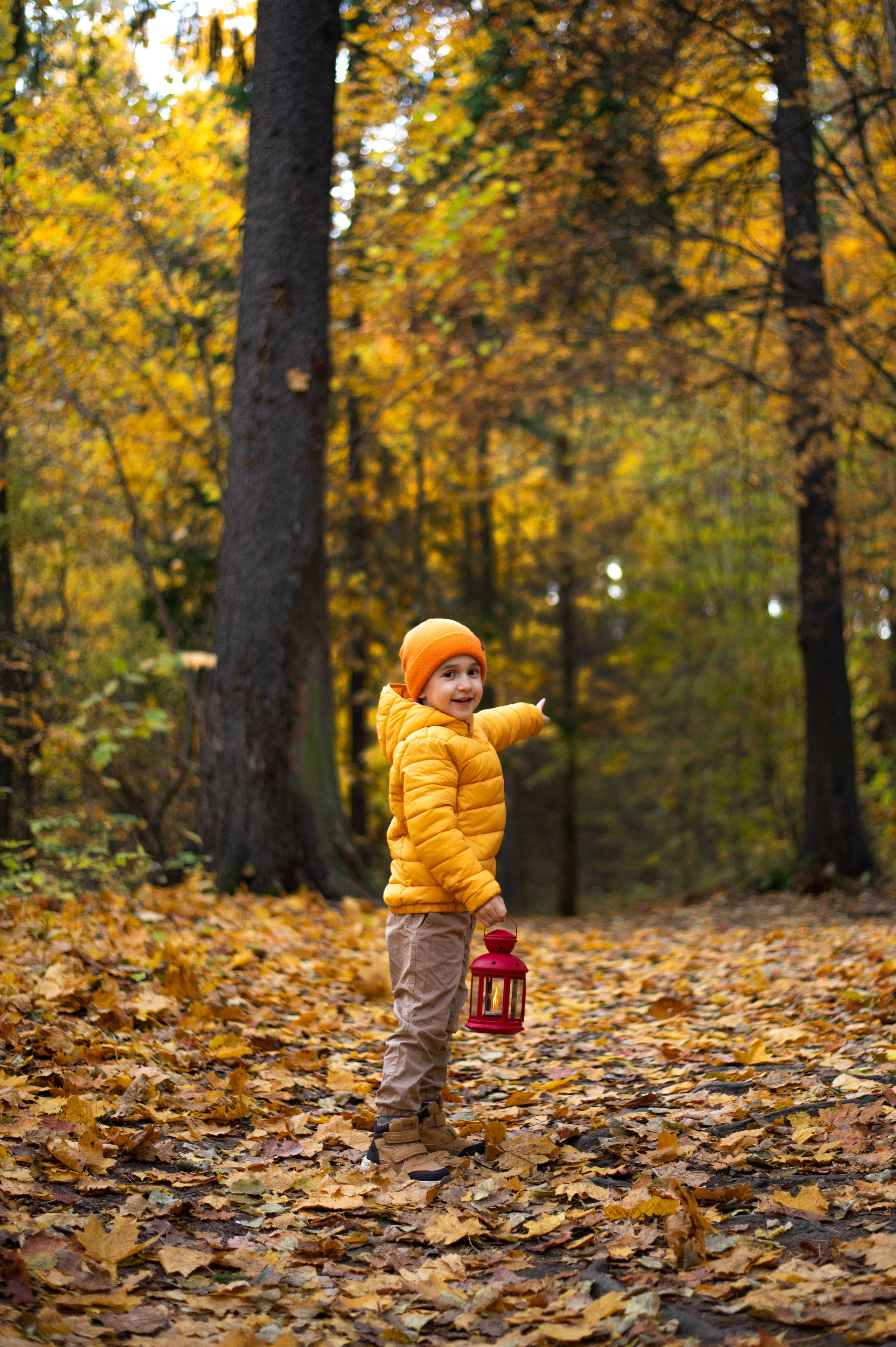 Осень в Шуваловском парке. Фотограф Санкт-Петербург | Дарья Першина
